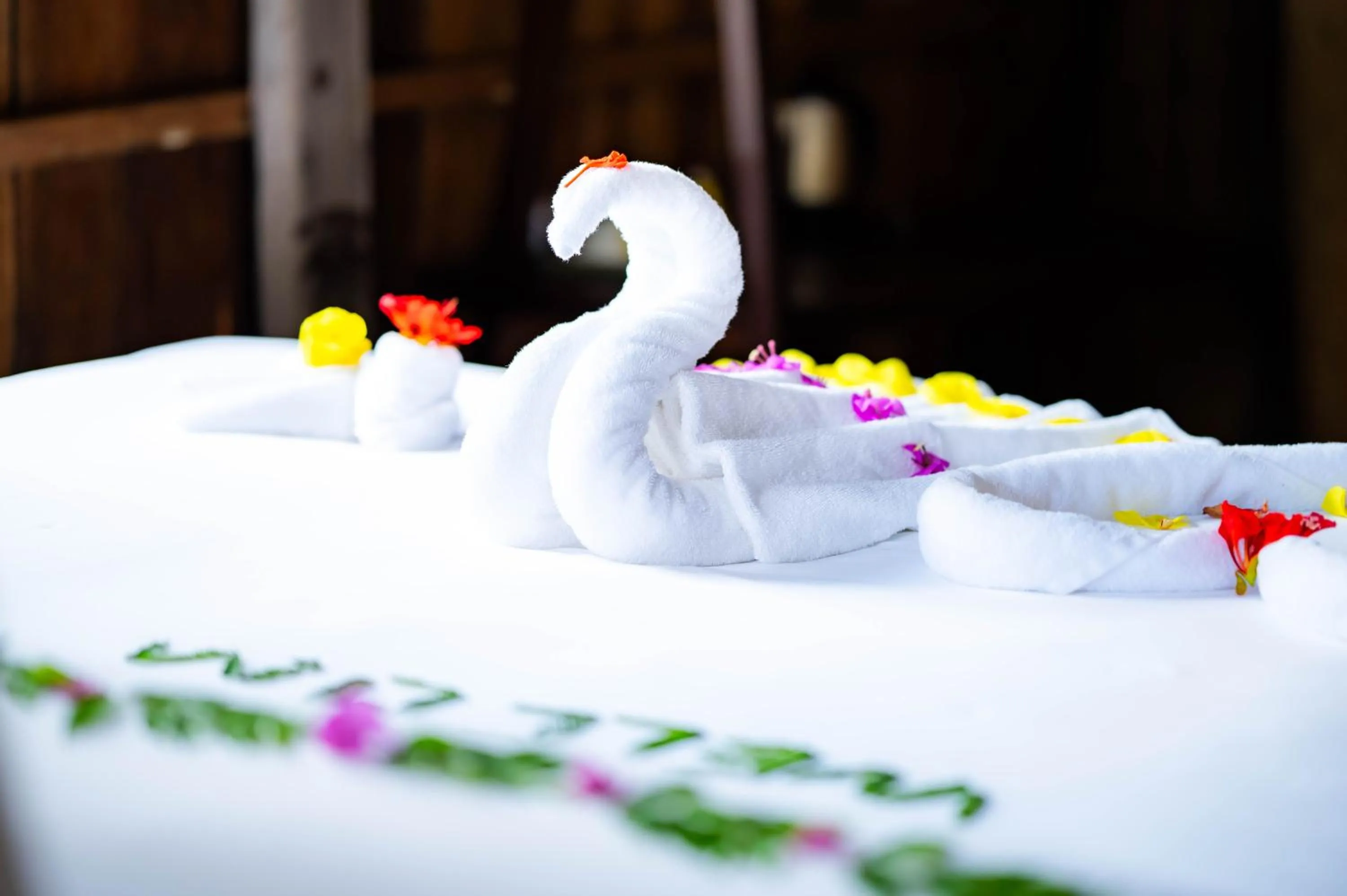 Bed in River Nest Hostel