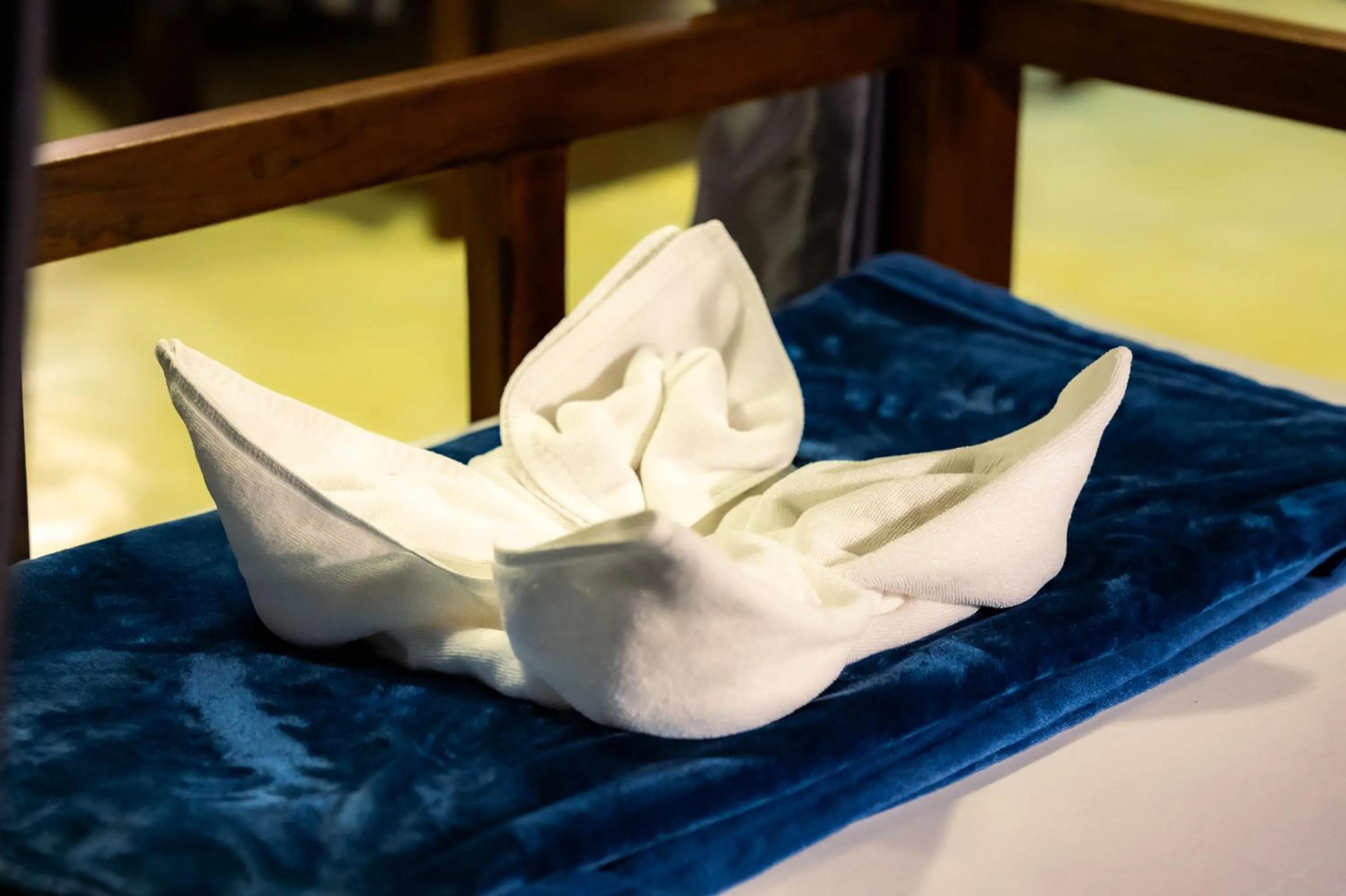 bunk bed in River Nest Hostel