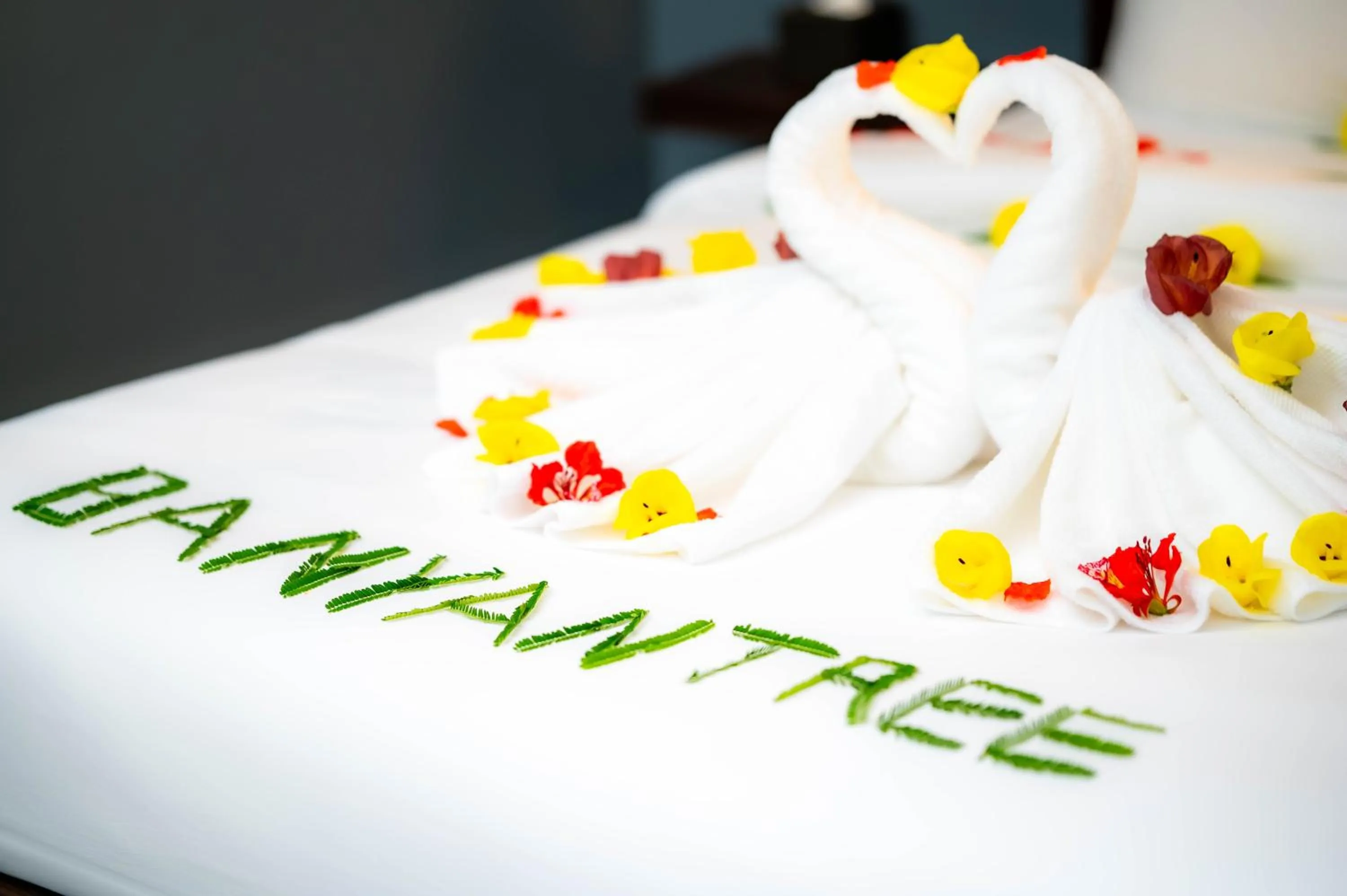 Bed in River Nest Hostel