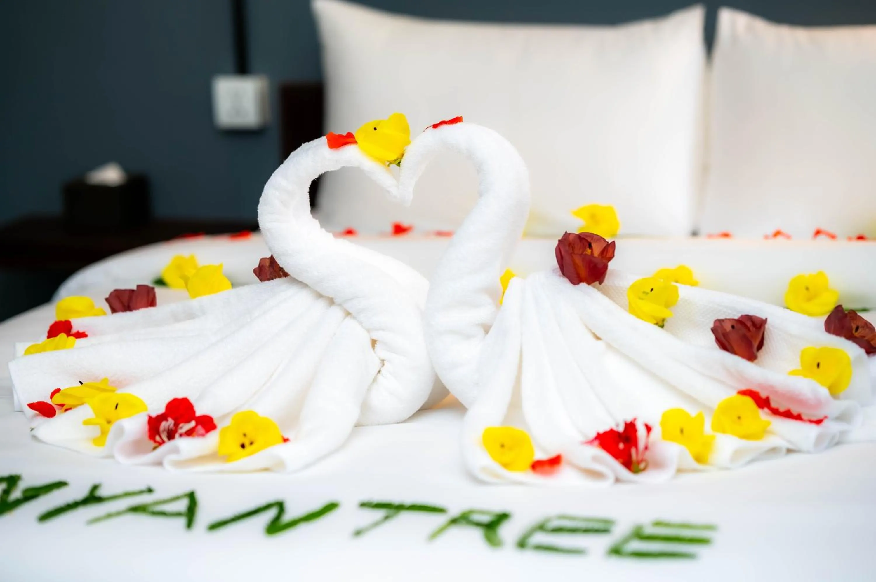 Bed in River Nest Hostel