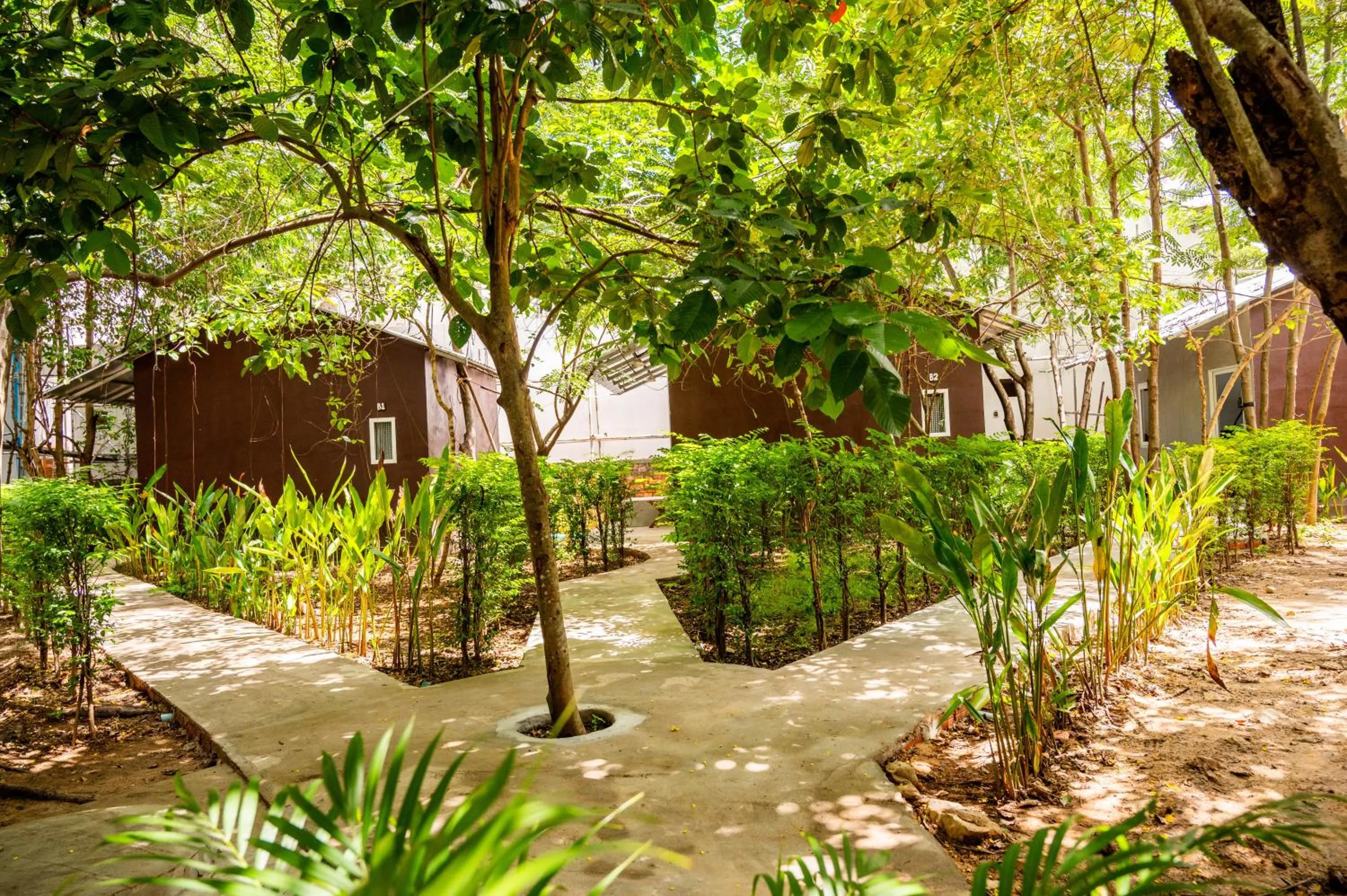 Natural landscape in River Nest Hostel