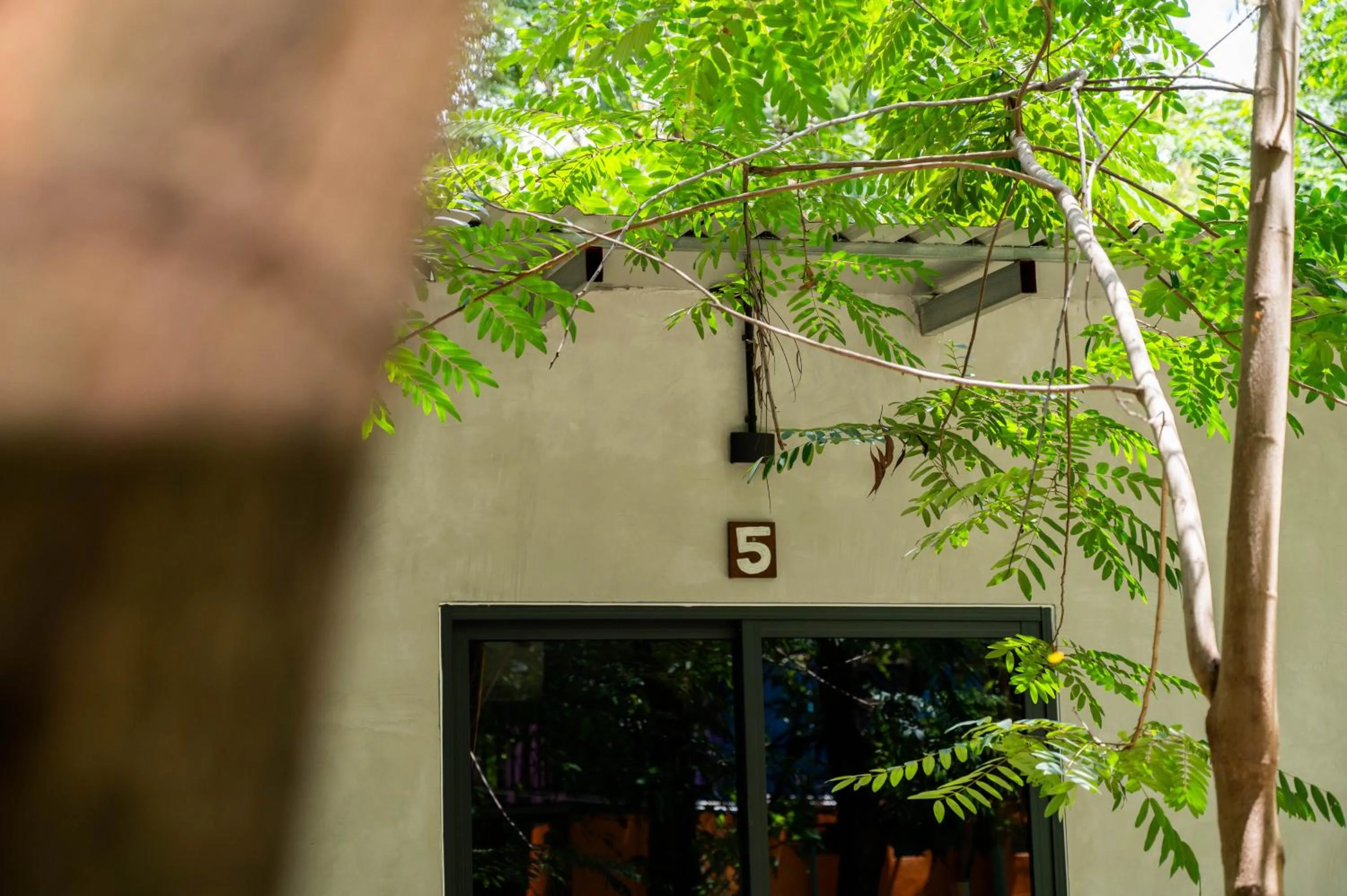 Property building in River Nest Hostel