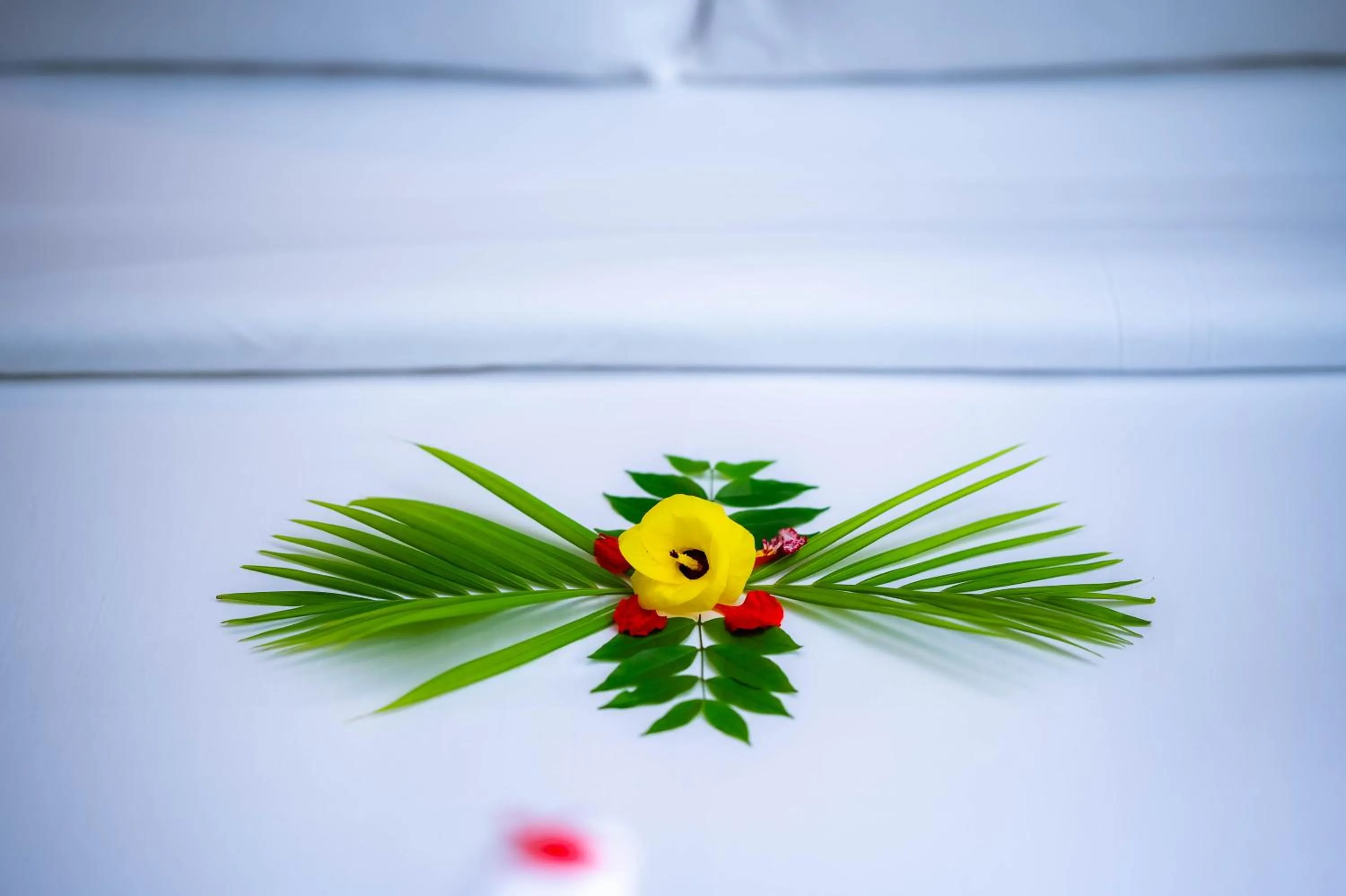 Bed in River Nest Hostel