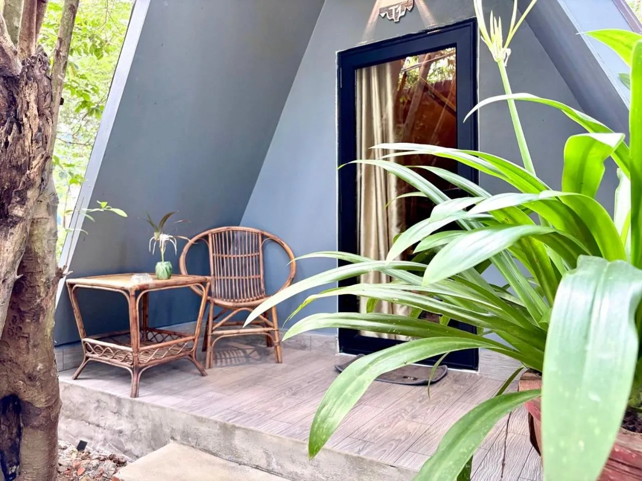 Garden in River Nest Hostel