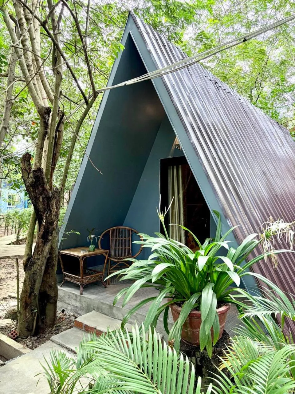 Natural landscape in River Nest Hostel