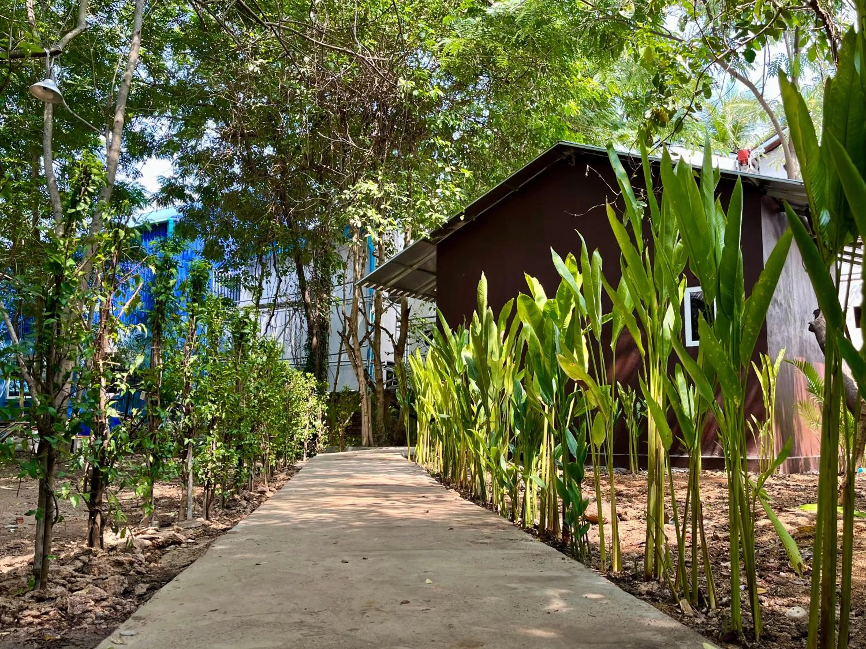 Natural landscape in River Nest Hostel