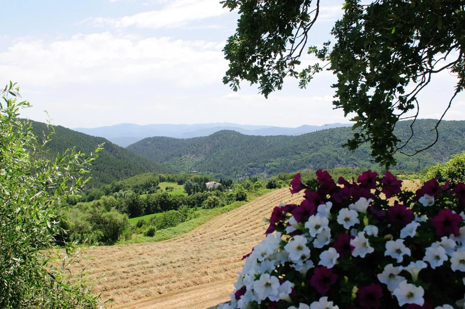 Mountain view in Locanda Del Viandante B&B