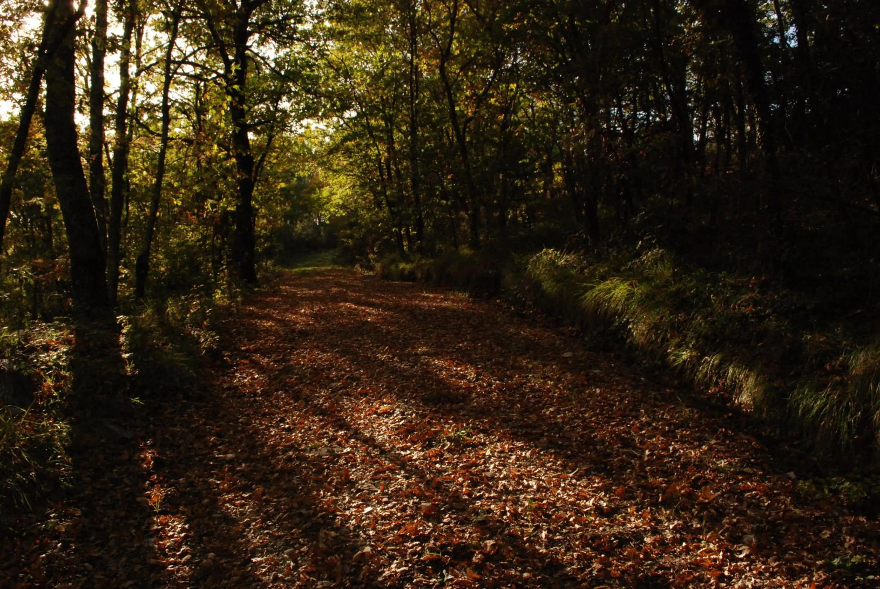 Hiking in Locanda Del Viandante B&B