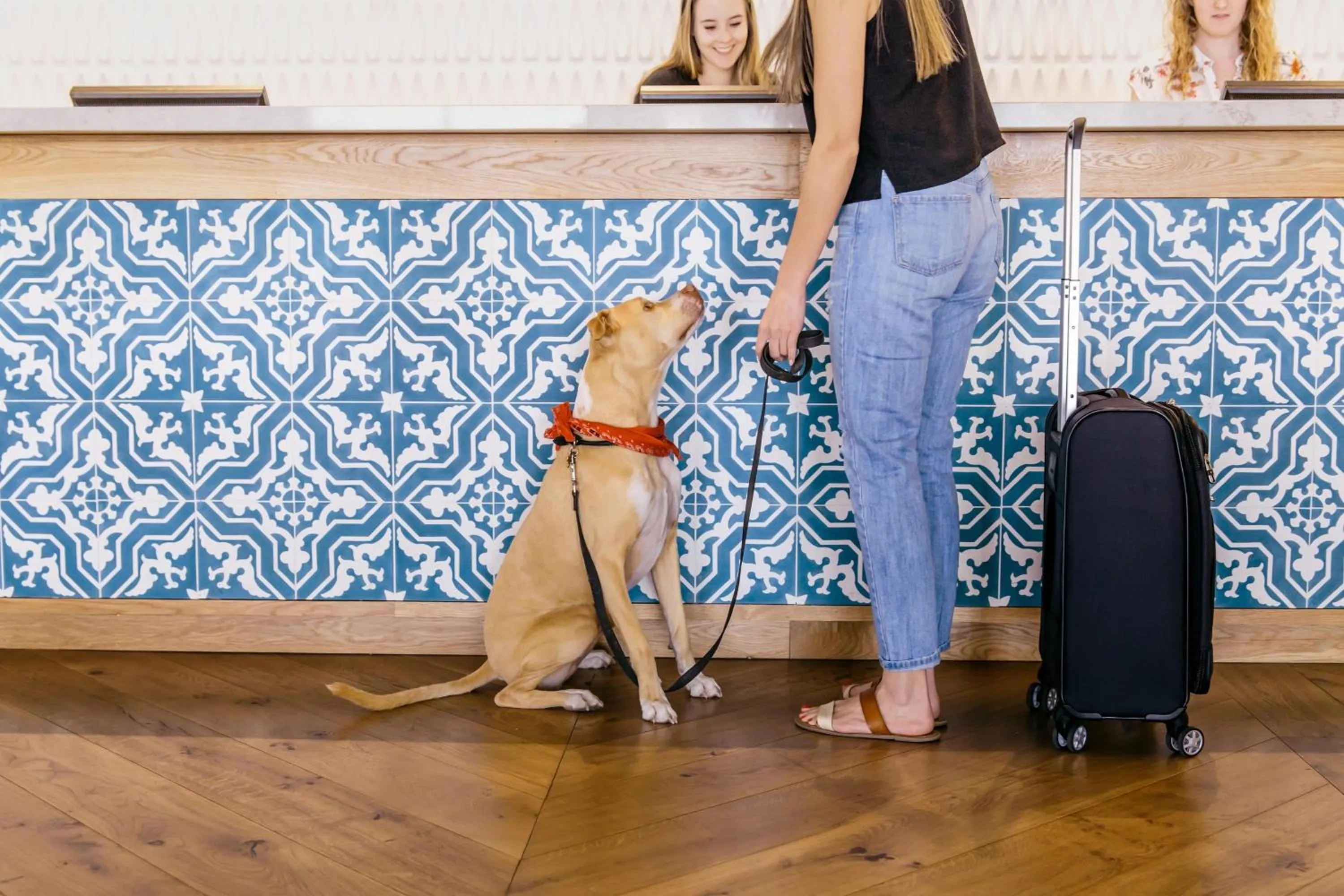 Other in Hotel Adeline, Scottsdale, a Tribute Portfolio Hotel