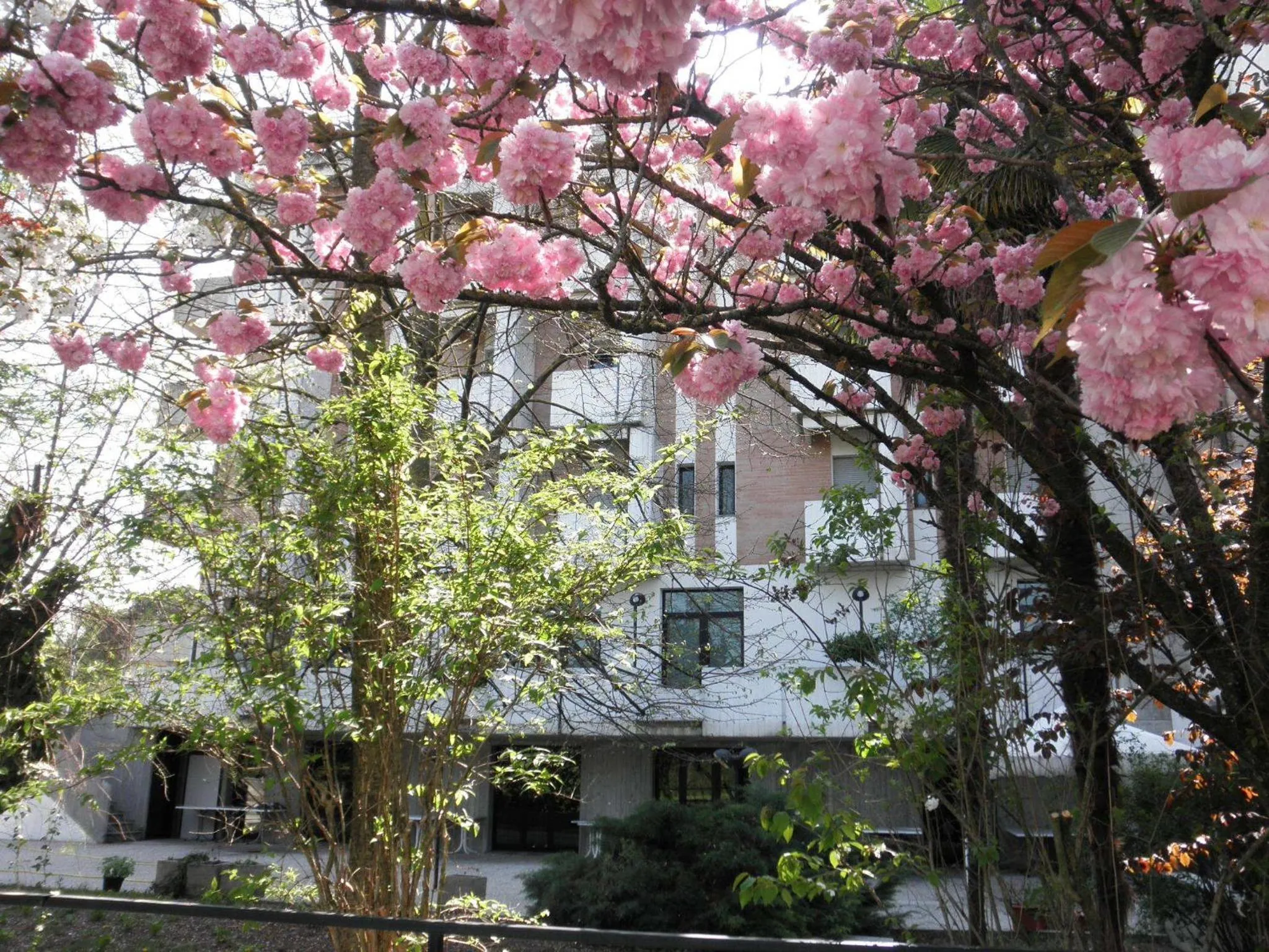 Facade/entrance in Park Hotel