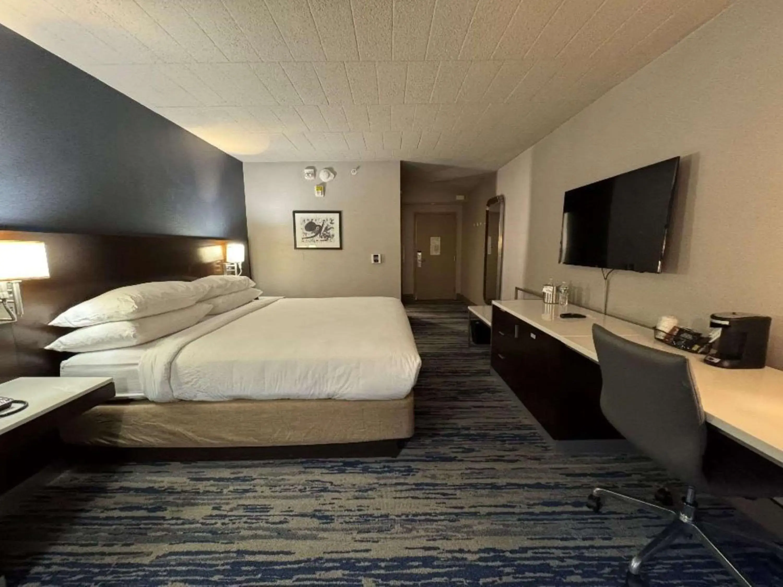 TV and multimedia, Bed in Skyline Hotel Detroit Airport, SureStay Collection by Best Western TV and multimedia, Bed in Skyline Hotel Detroit Airport, SureStay Collection by Best Western