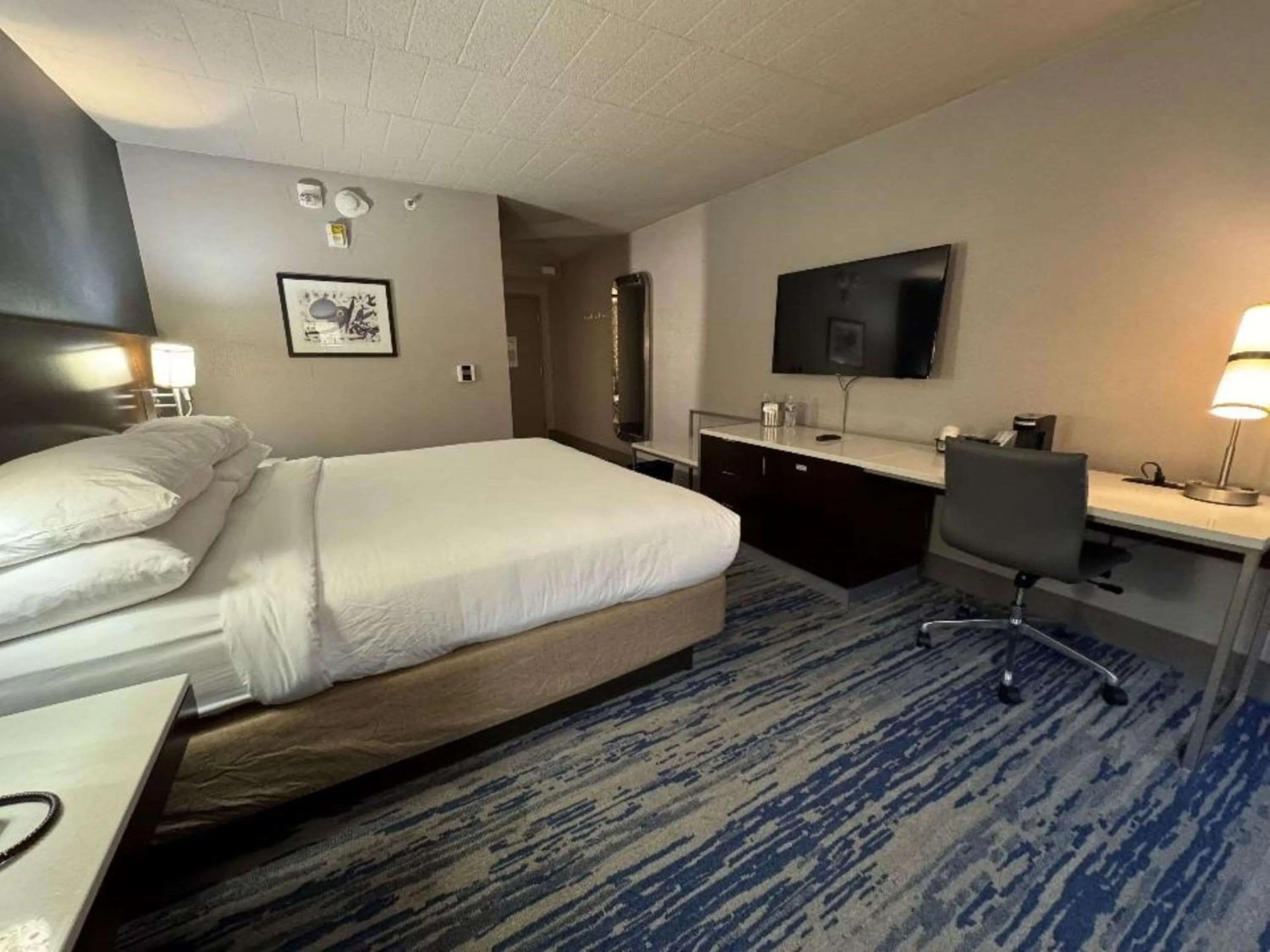TV and multimedia, Bed in Skyline Hotel Detroit Airport, SureStay Collection by Best Western