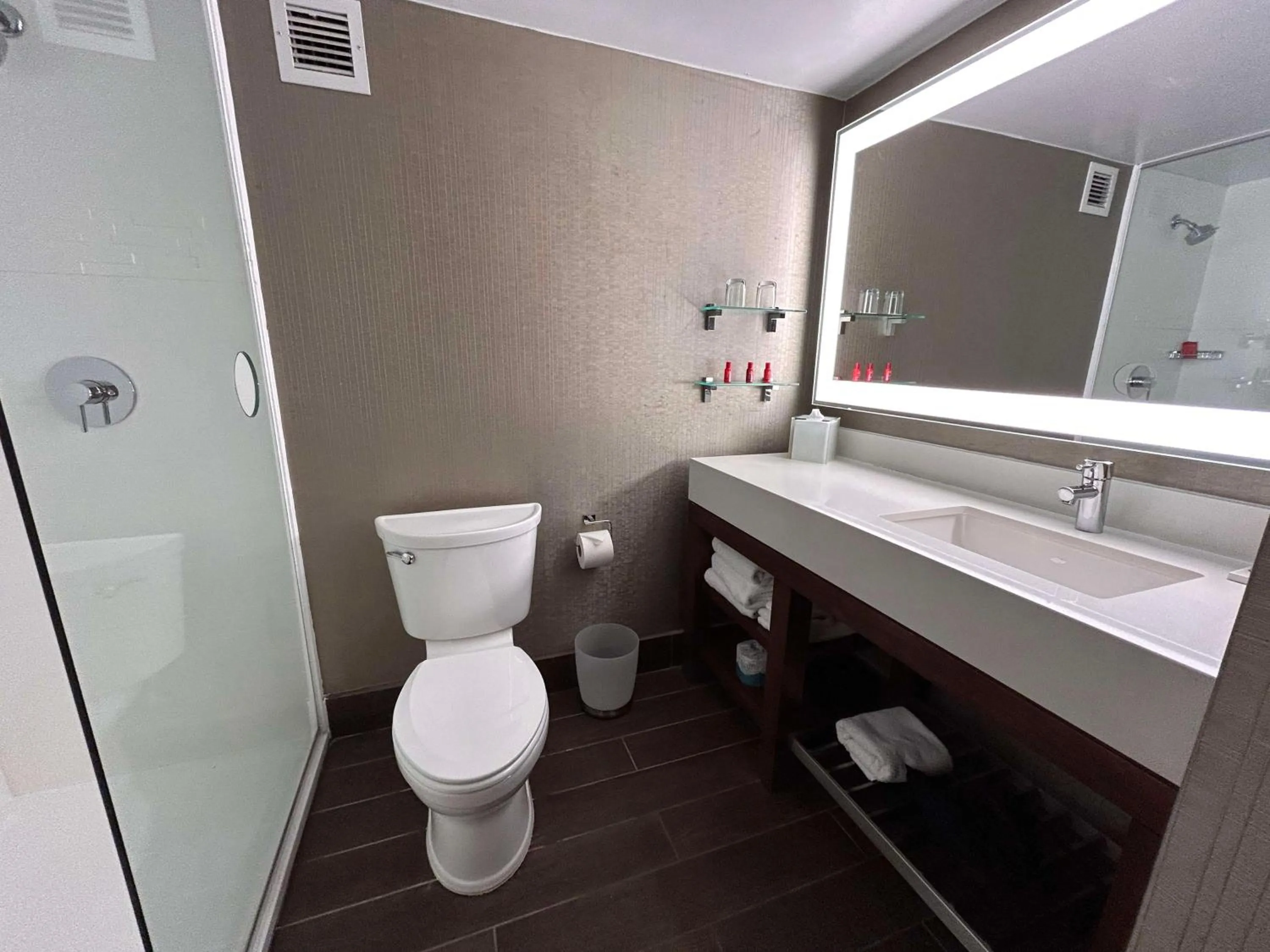 Bathroom in Skyline Hotel Detroit Airport, SureStay Collection by Best Western
