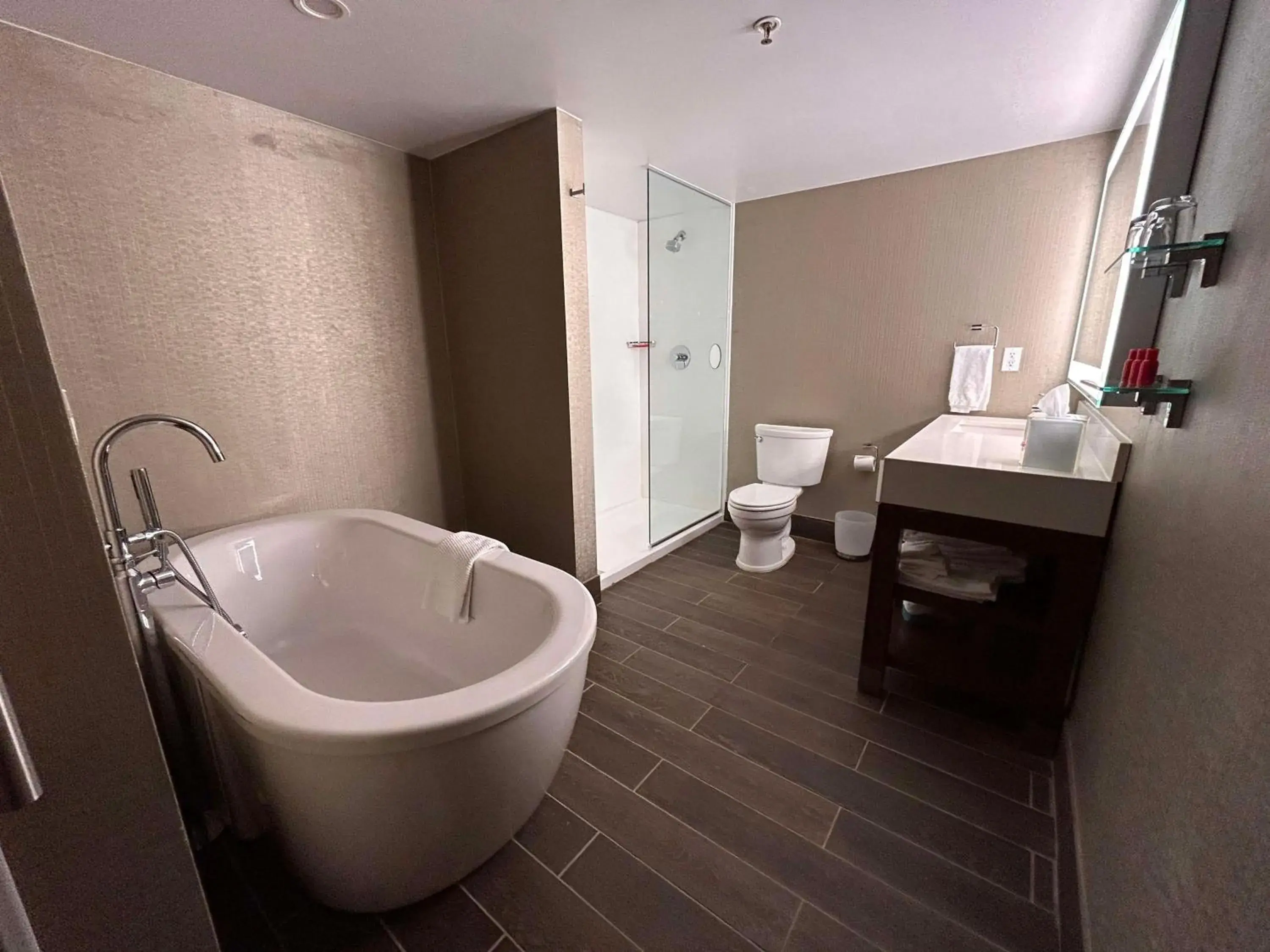 Bathroom in Skyline Hotel Detroit Airport, SureStay Collection by Best Western Bathroom in Skyline Hotel Detroit Airport, SureStay Collection by Best Western