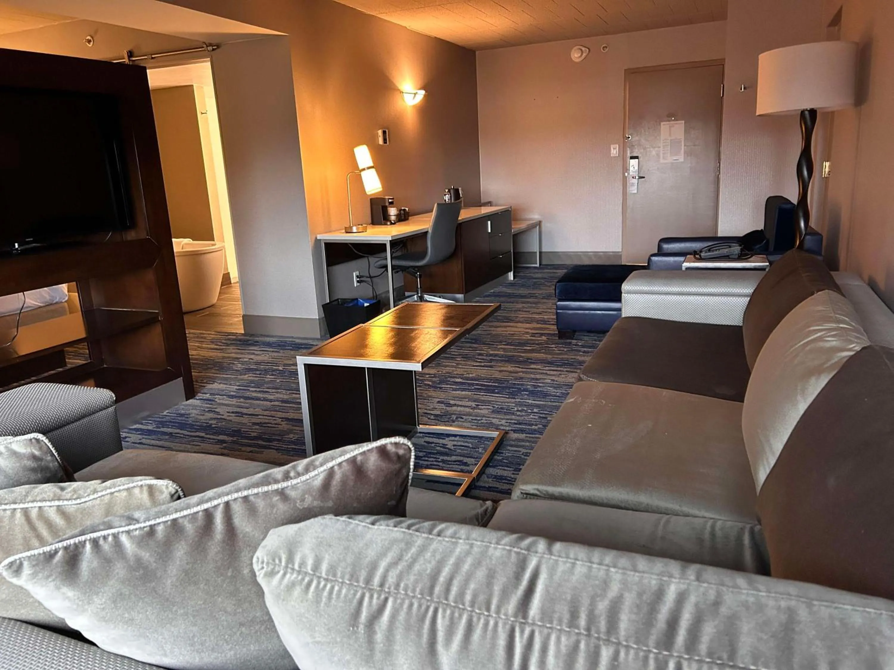 TV and multimedia in Skyline Hotel Detroit Airport, SureStay Collection by Best Western