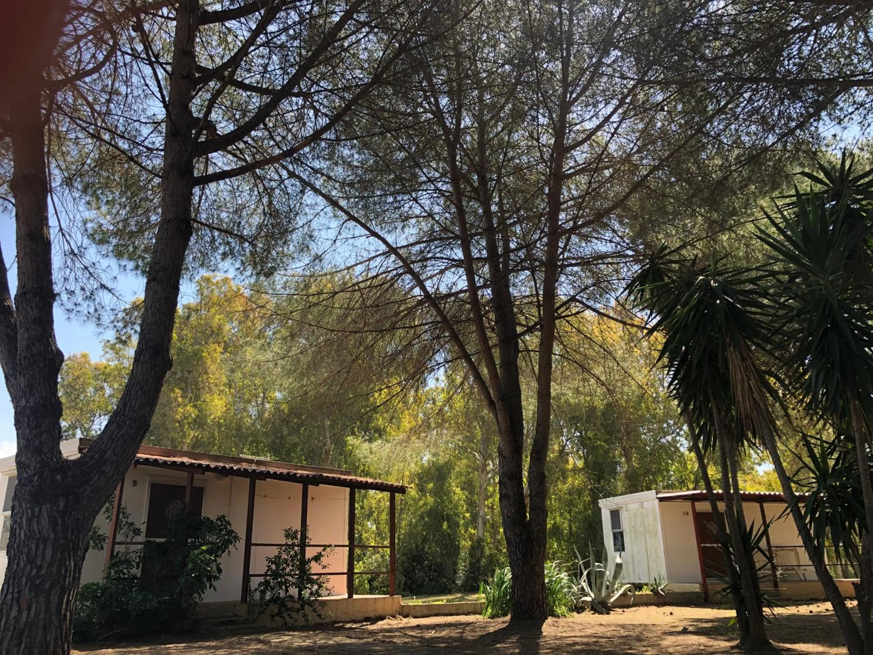 Garden view in Residence Sa Pintadera