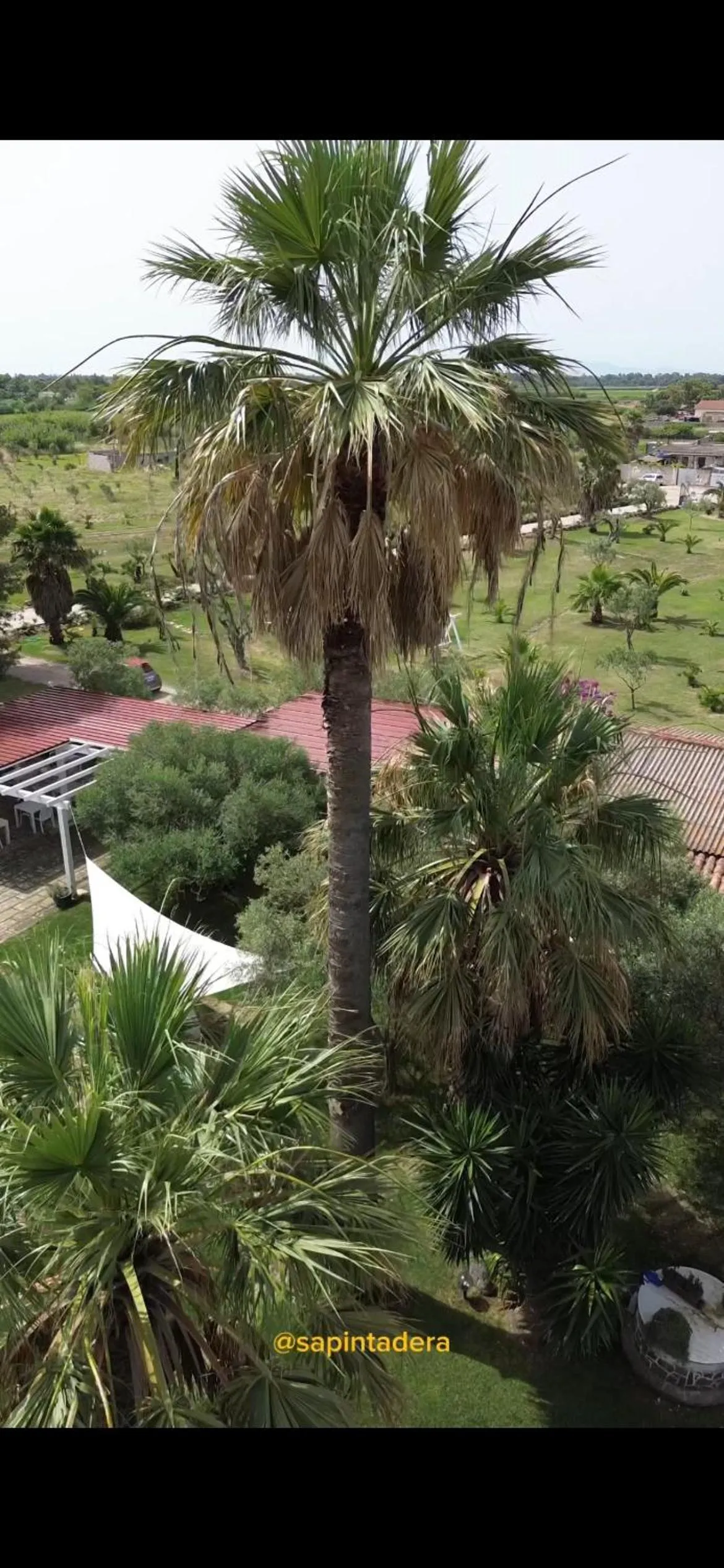 Residence Sa Pintadera