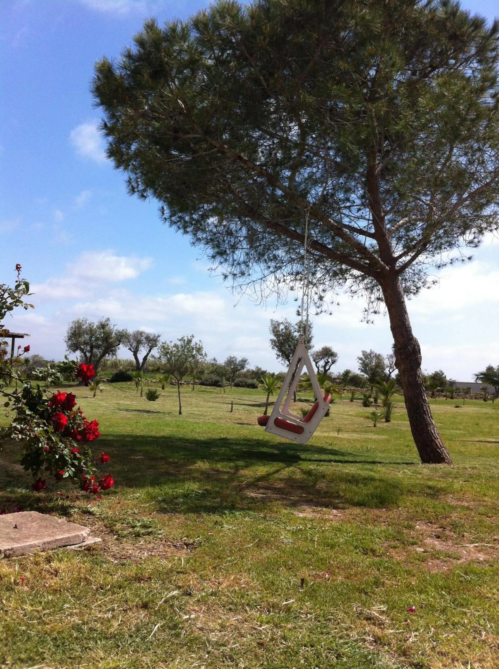 Garden in Residence Sa Pintadera