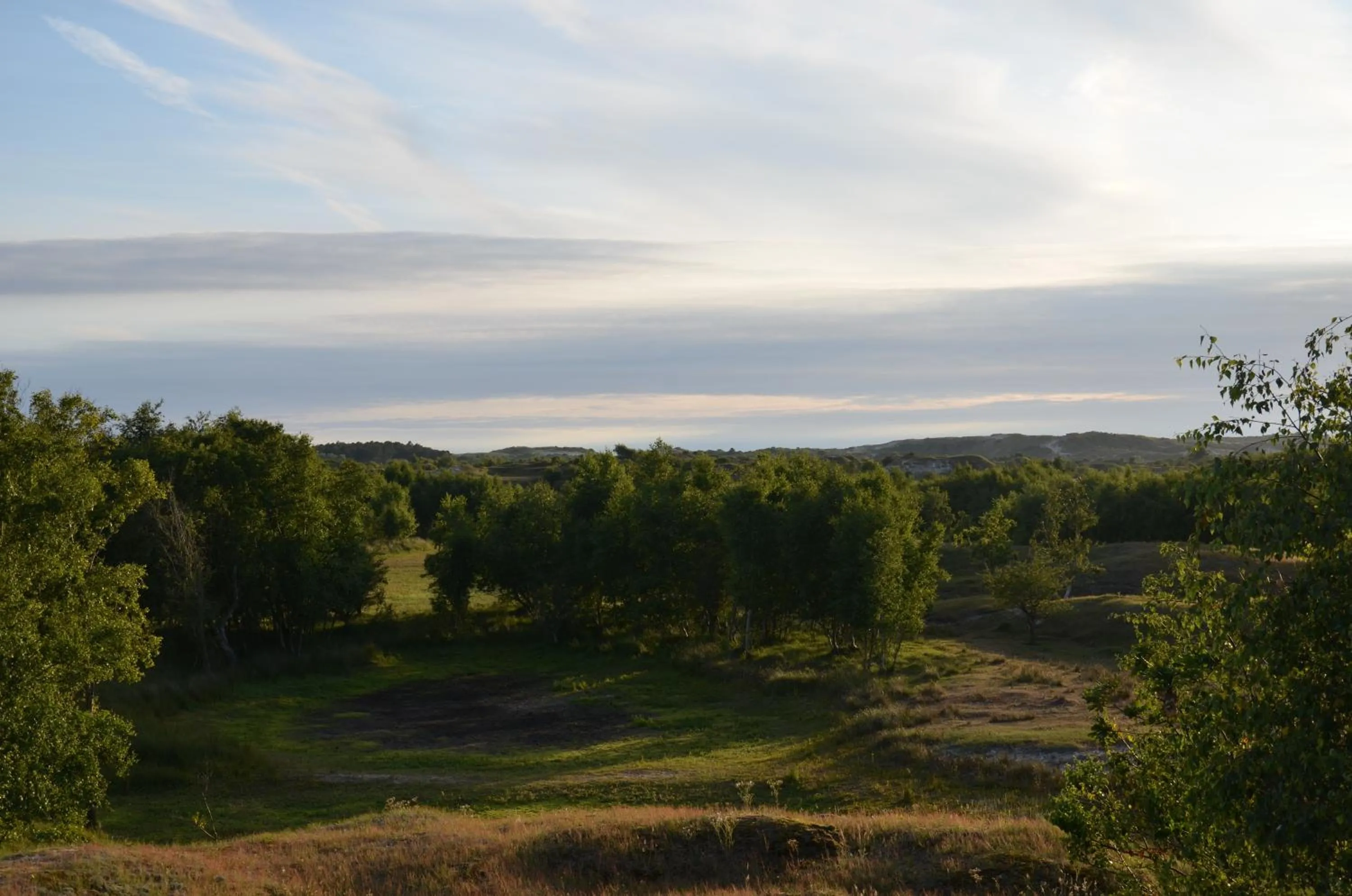 Natural landscape in B&B Onder de Molen