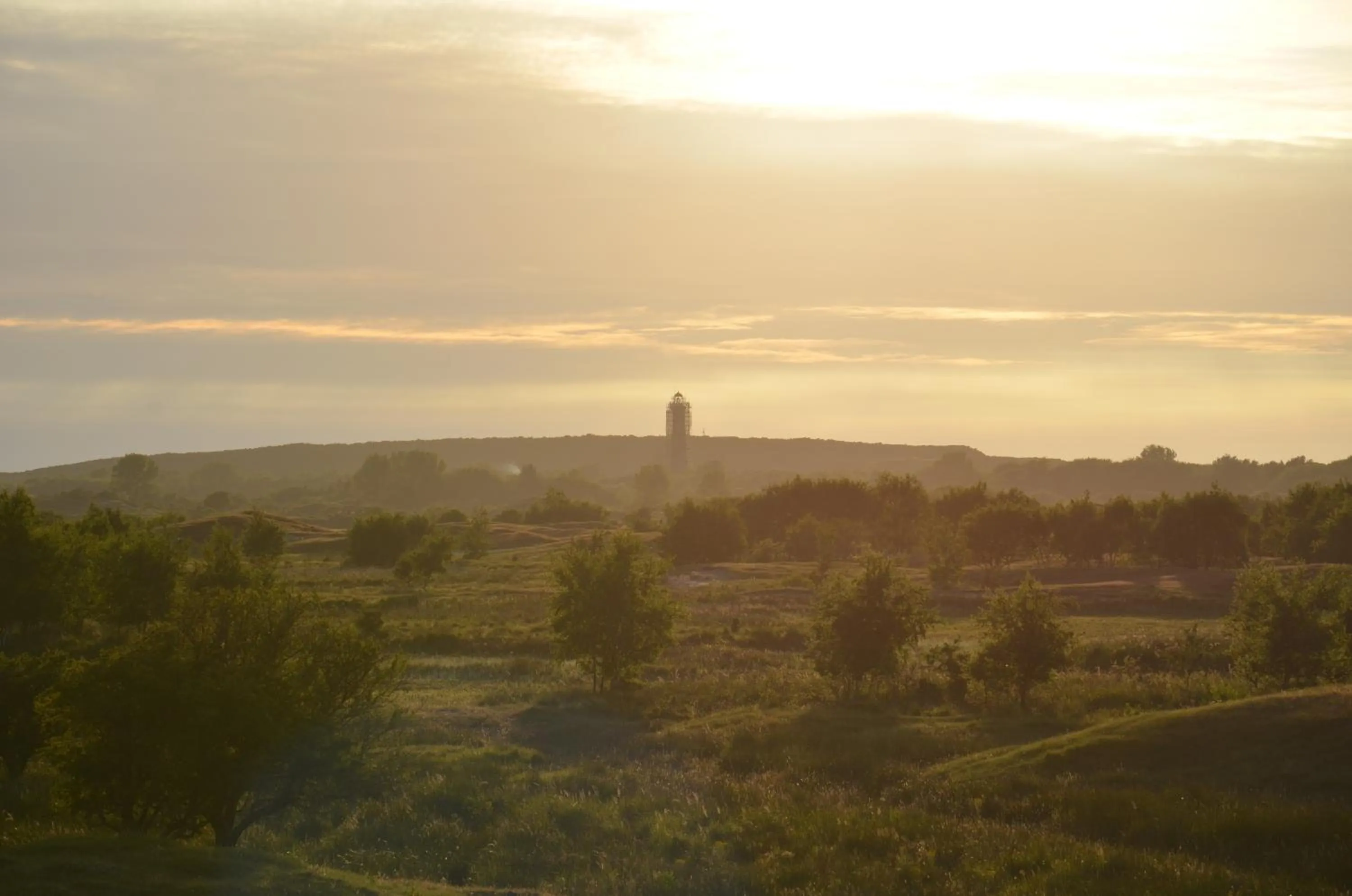 Natural landscape in B&B Onder de Molen