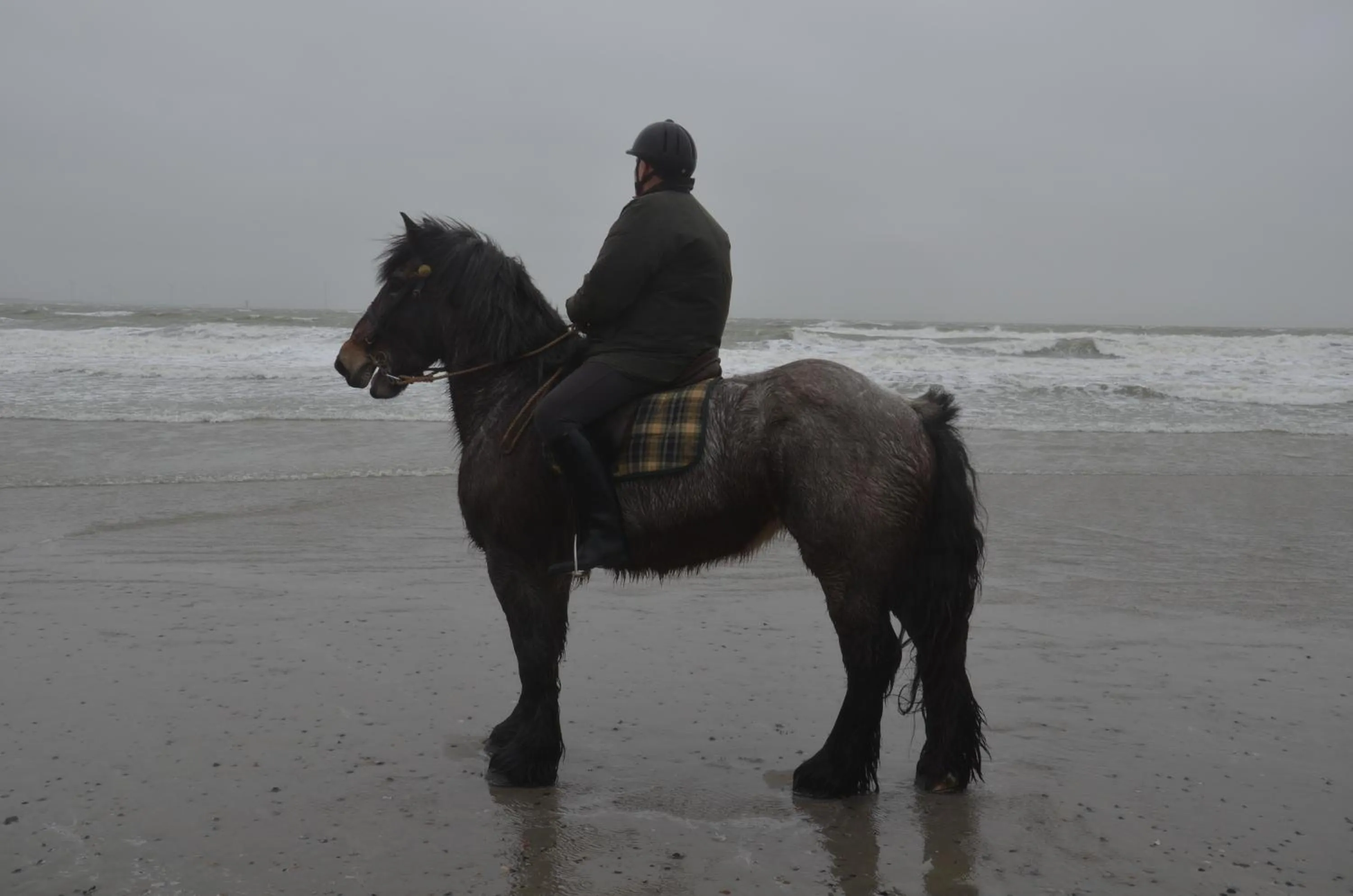Horse-riding in B&B Onder de Molen