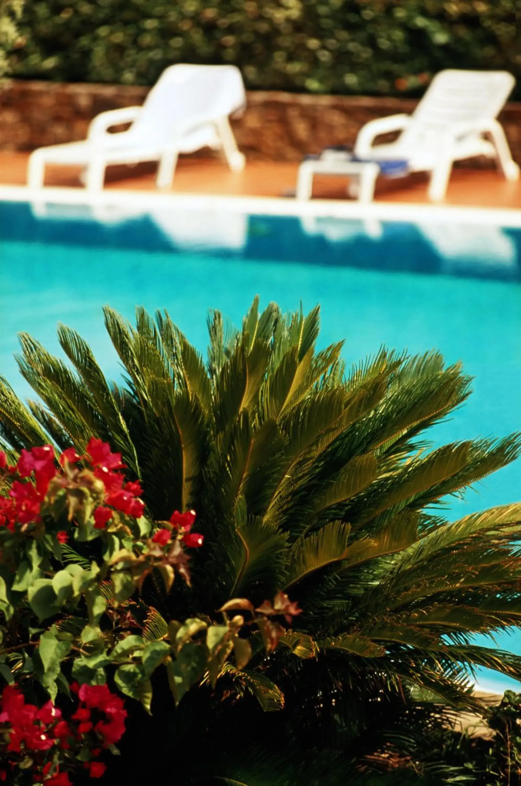 Swimming pool in Villa Dafne Swimming pool in Villa Dafne