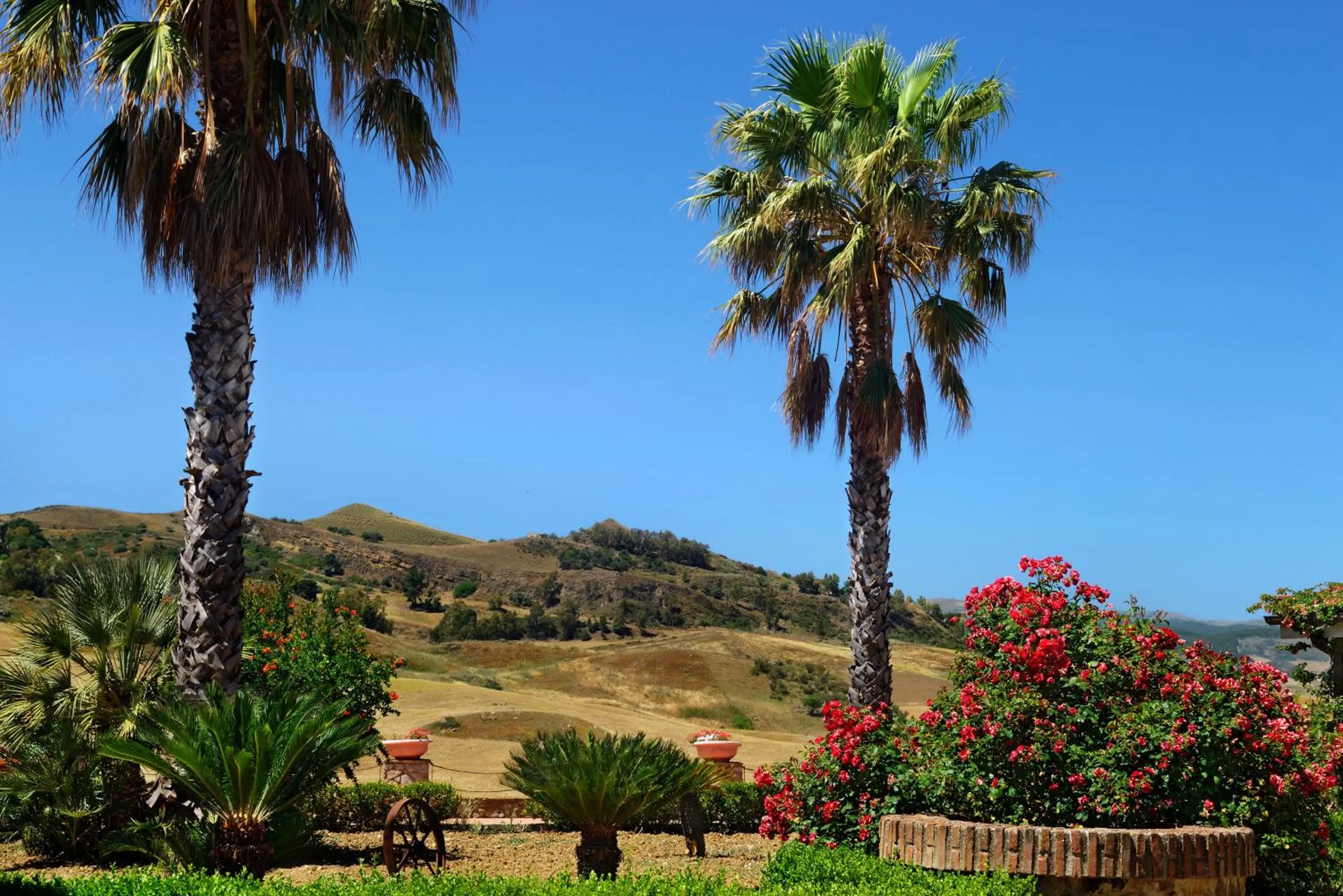 Garden in Villa Dafne