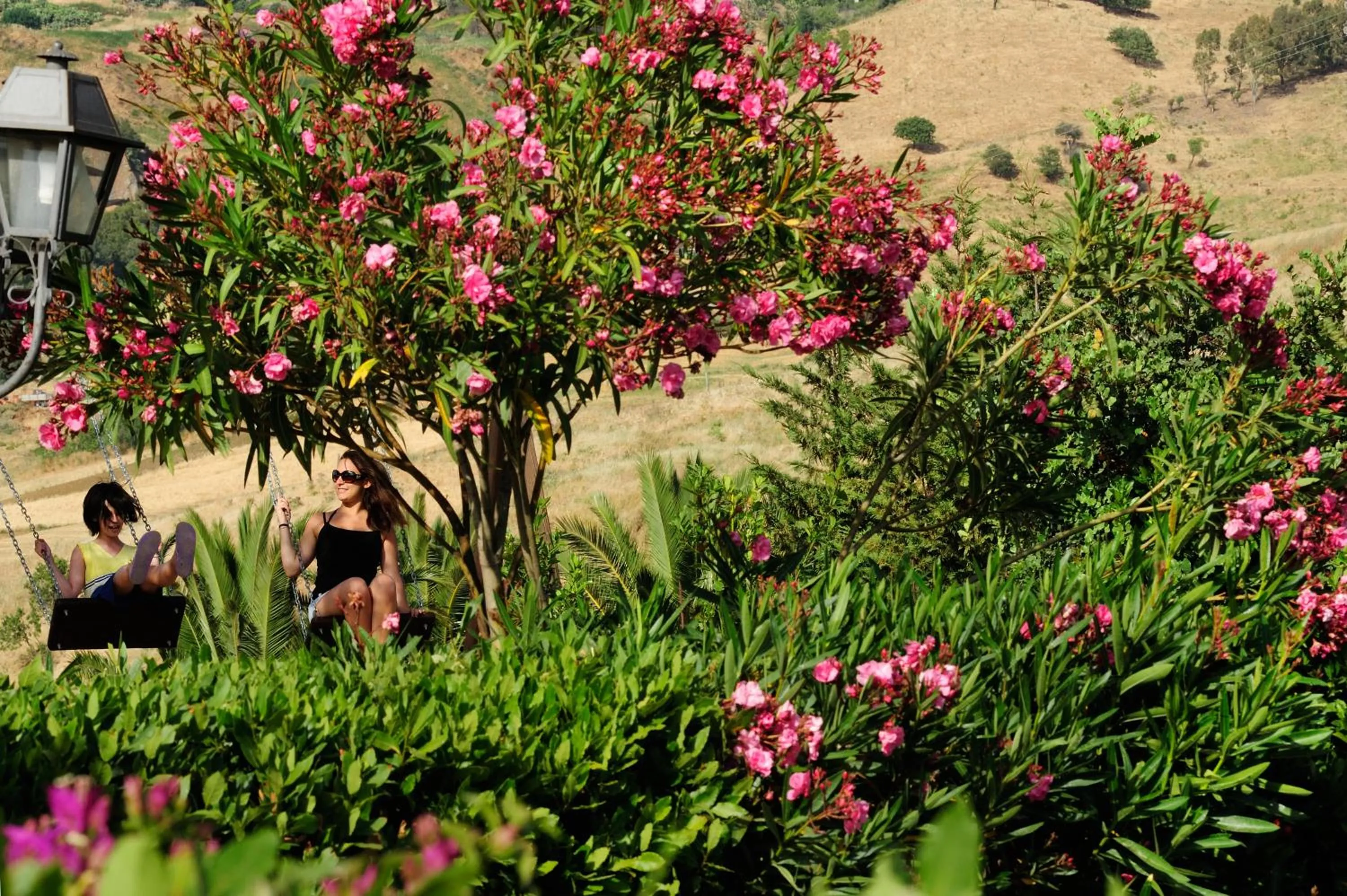 Garden in Villa Dafne