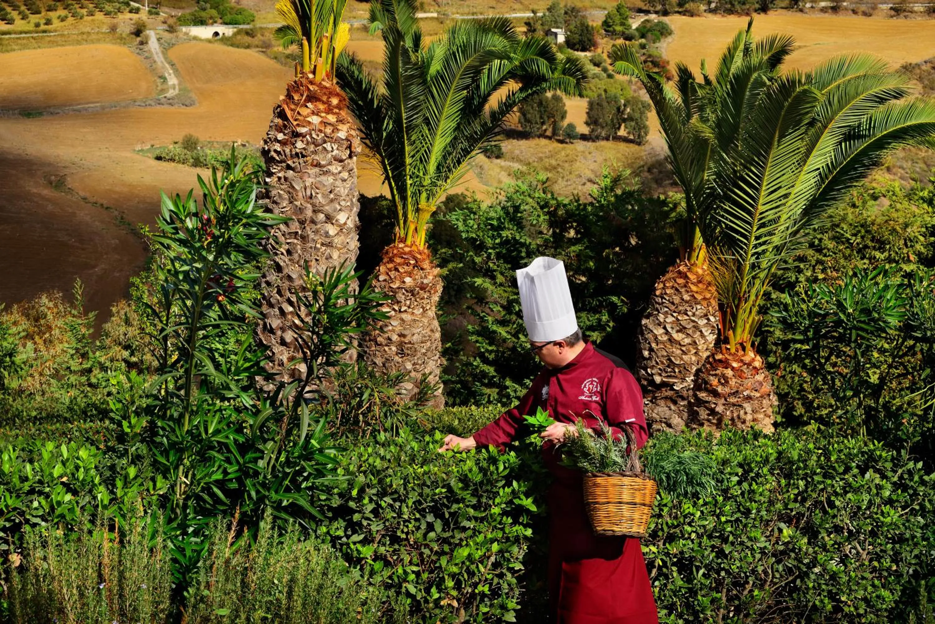 Garden in Villa Dafne