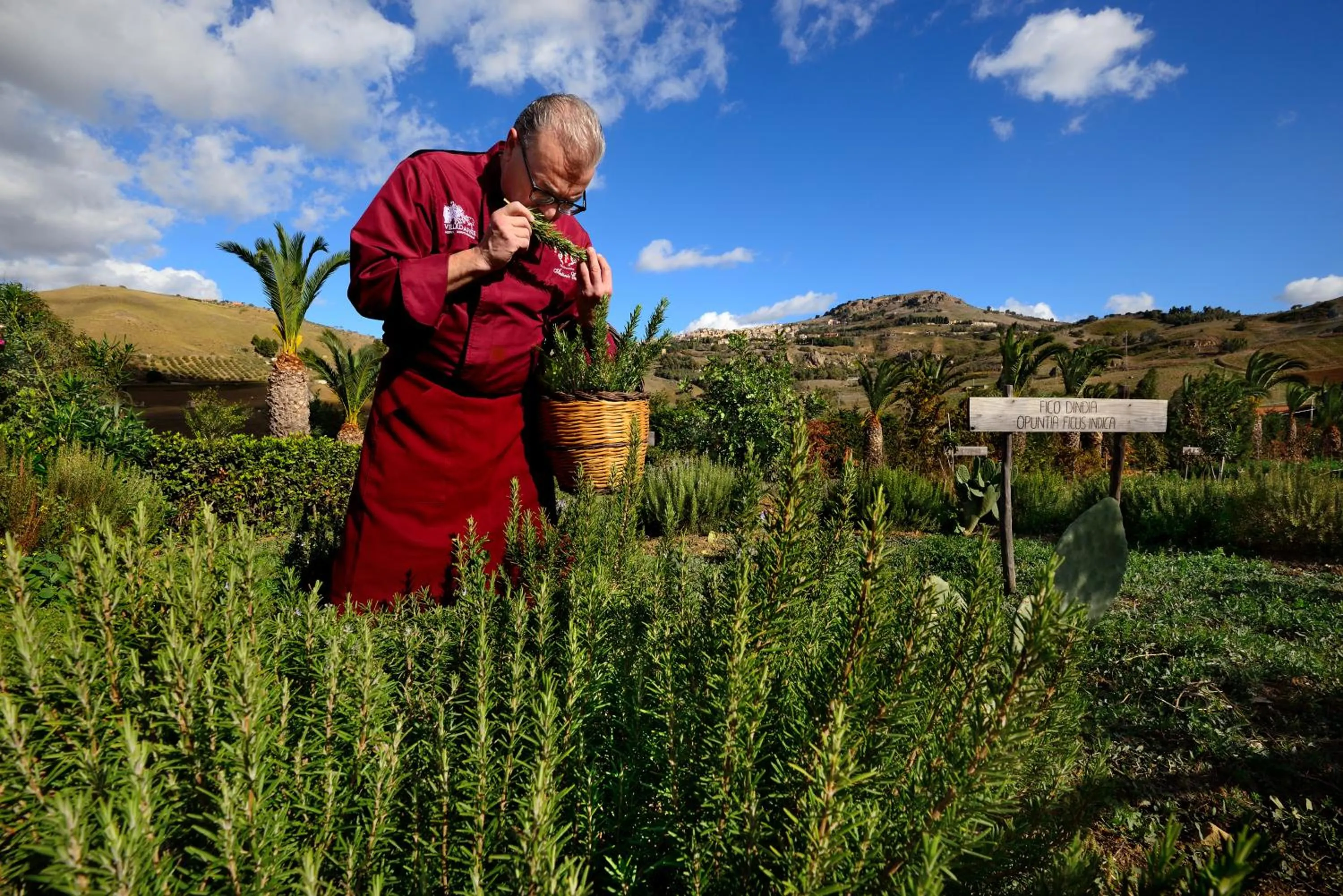 Garden in Villa Dafne