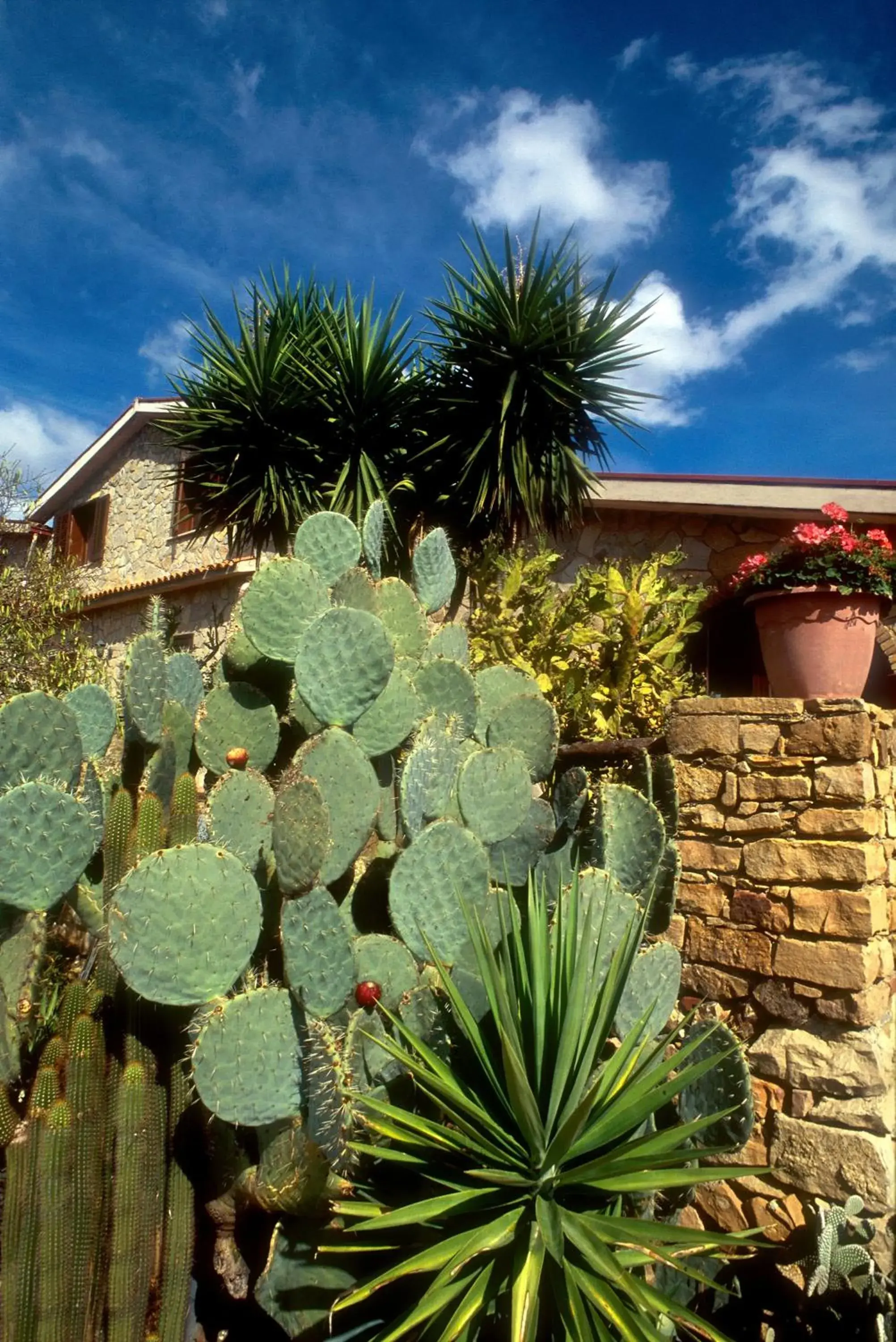 Facade/entrance in Villa Dafne Facade/entrance in Villa Dafne