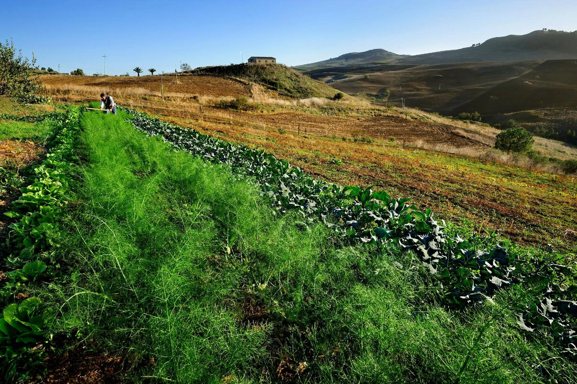 Garden in Villa Dafne