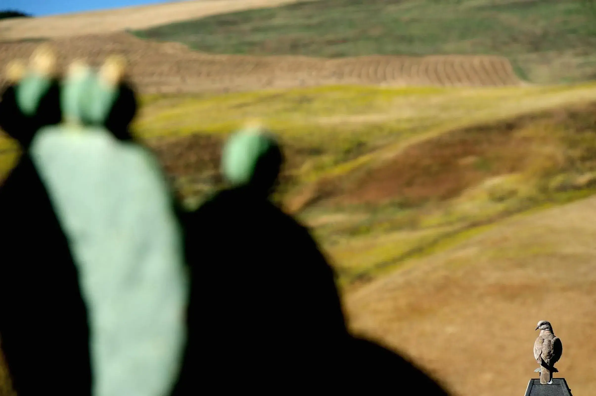 Property building in Villa Dafne Property building in Villa Dafne