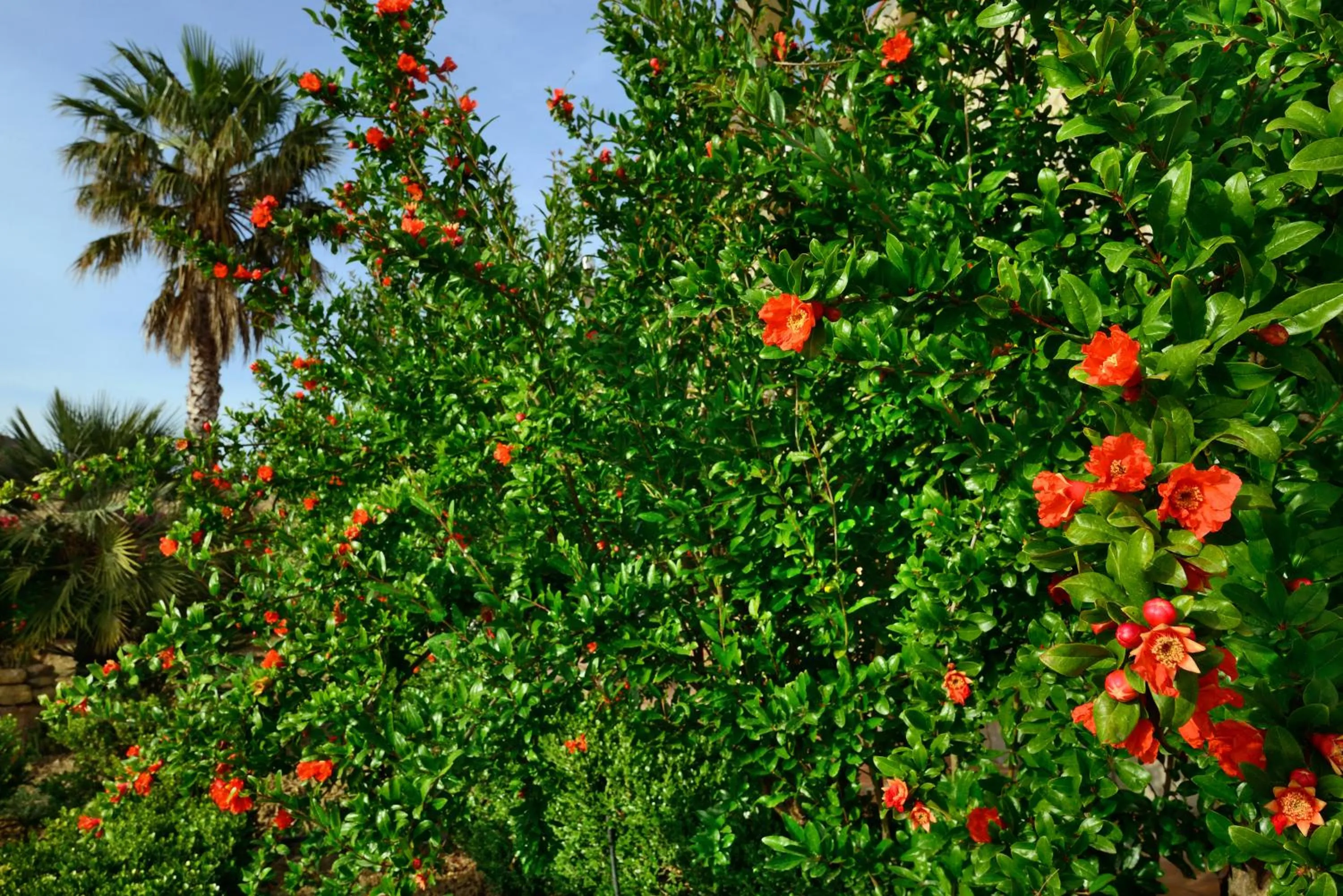 Property building in Villa Dafne