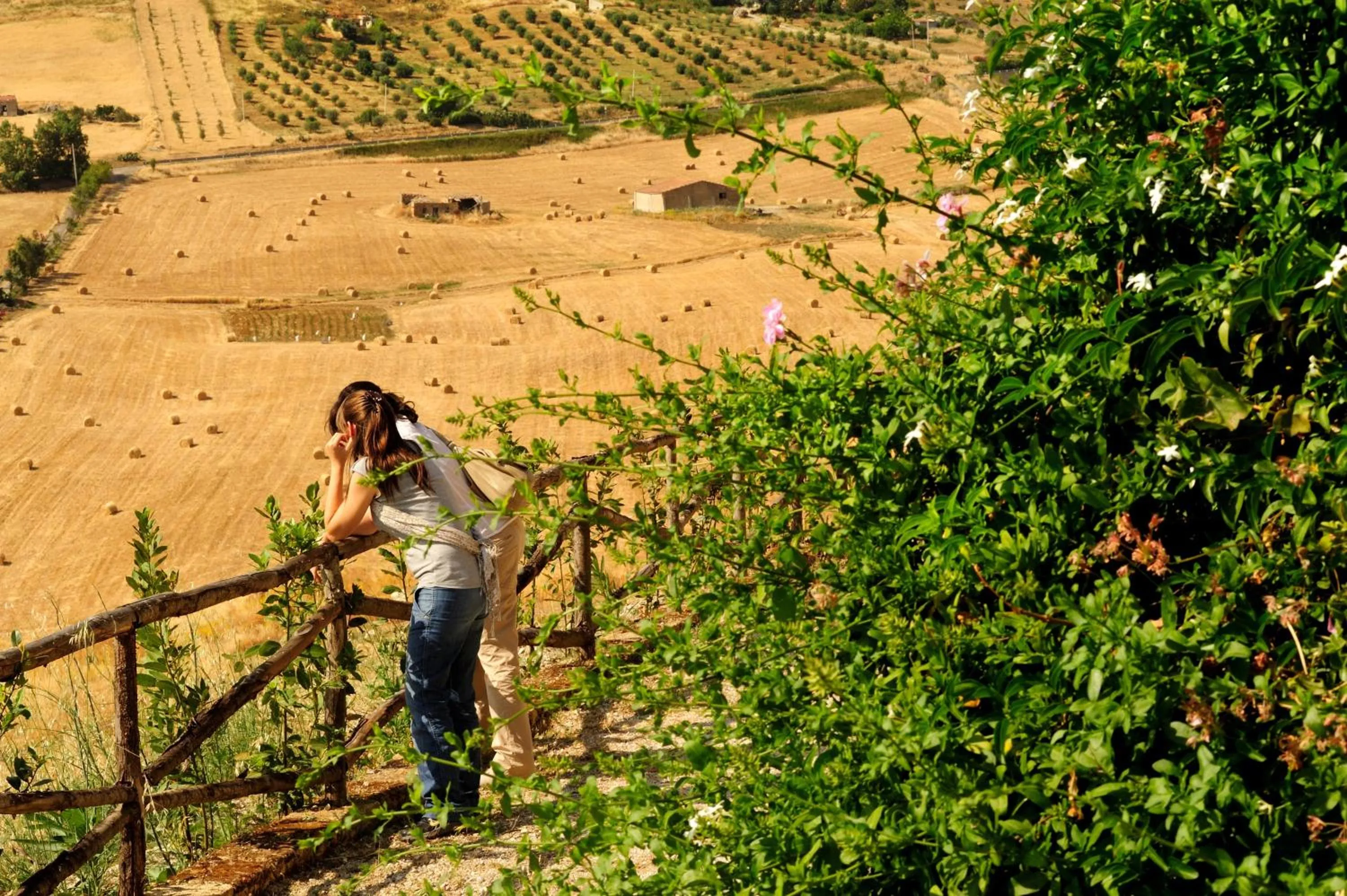 Garden in Villa Dafne