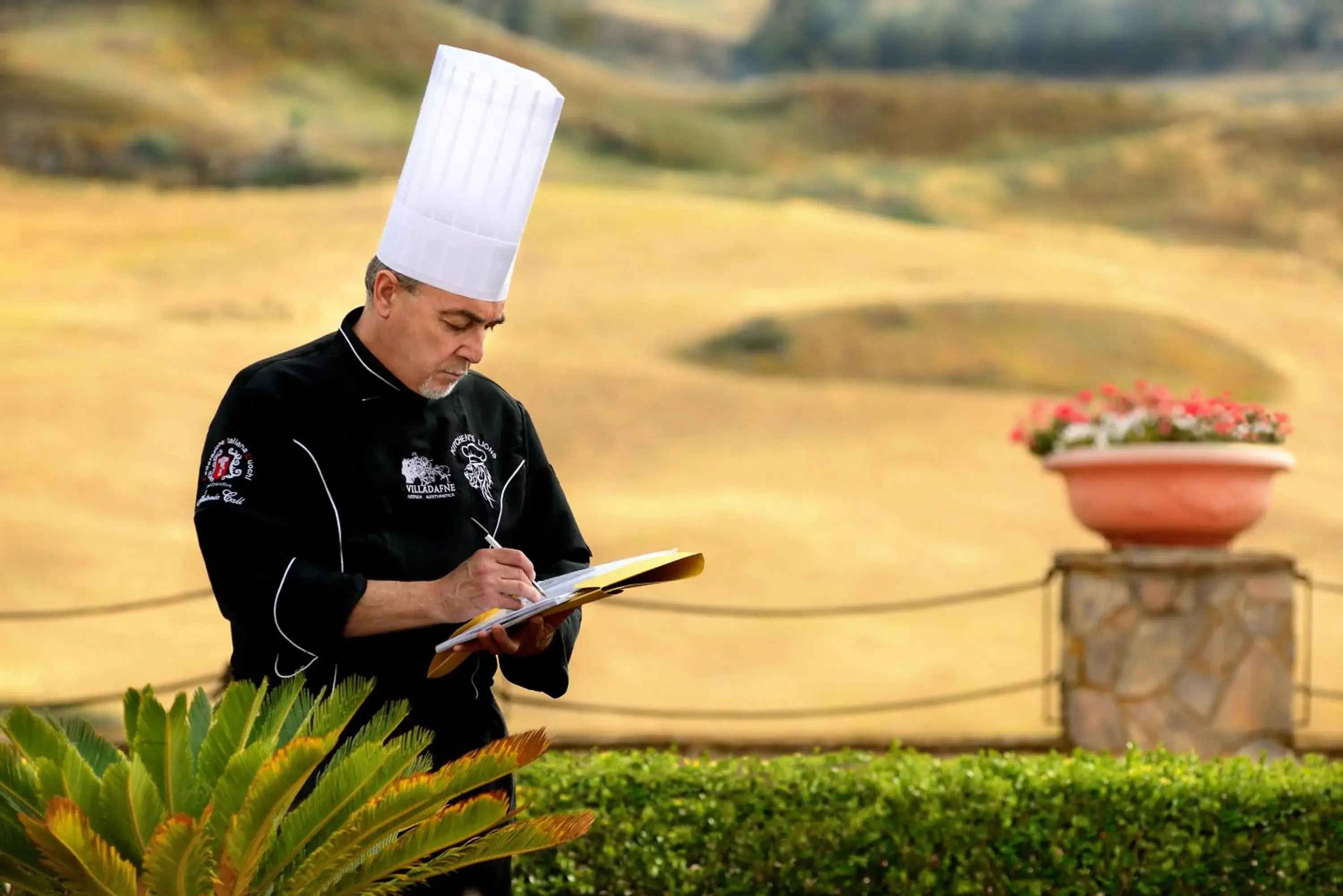 Restaurant/places to eat in Villa Dafne Restaurant/places to eat in Villa Dafne