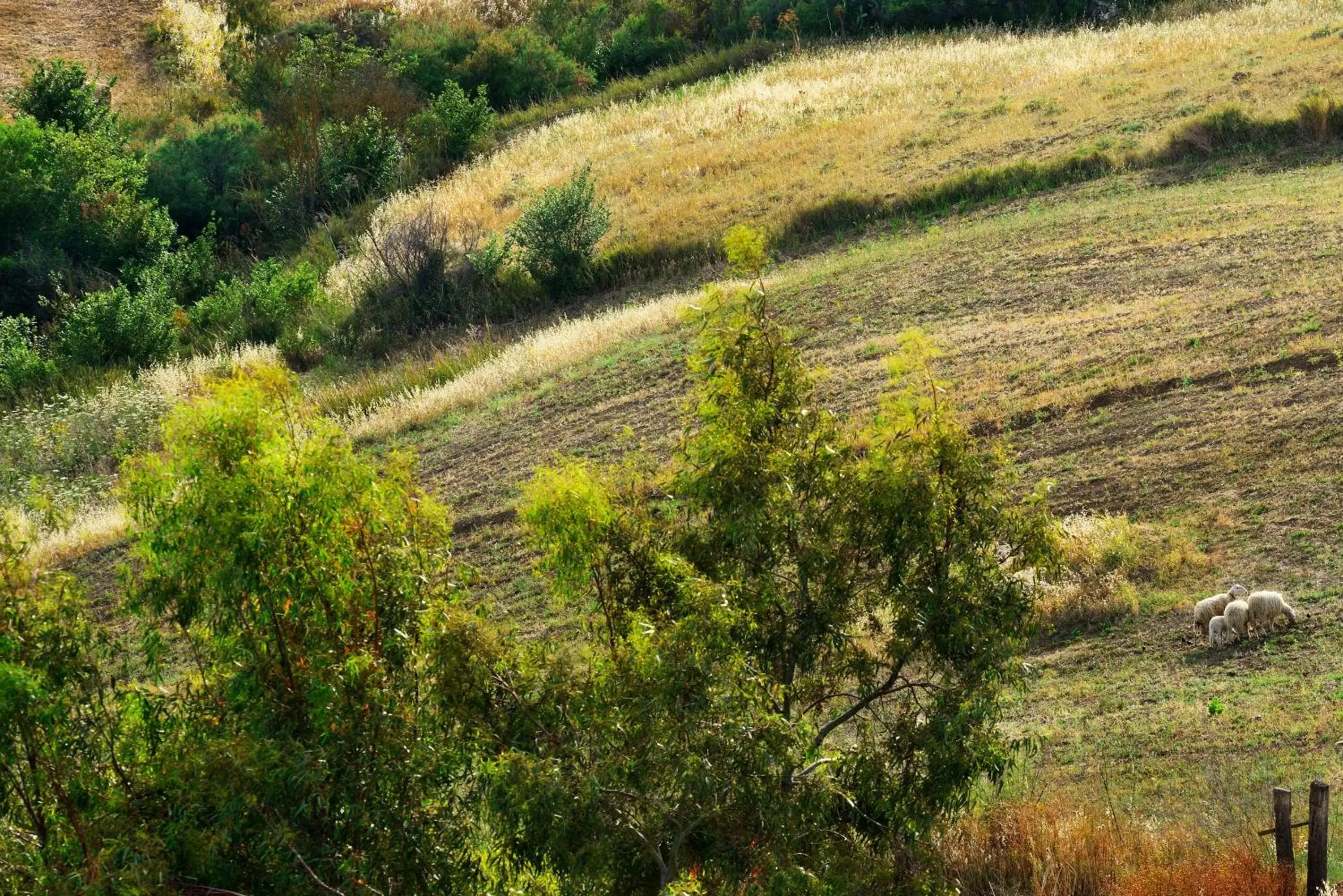 Standard Double Room in Villa Dafne Standard Double Room in Villa Dafne