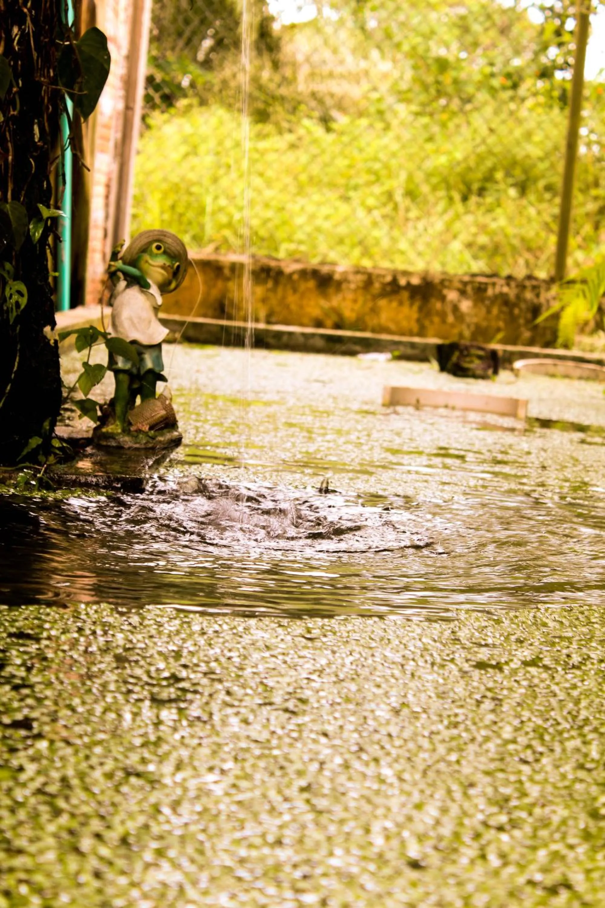 Restaurant/places to eat in Hotel Utüane