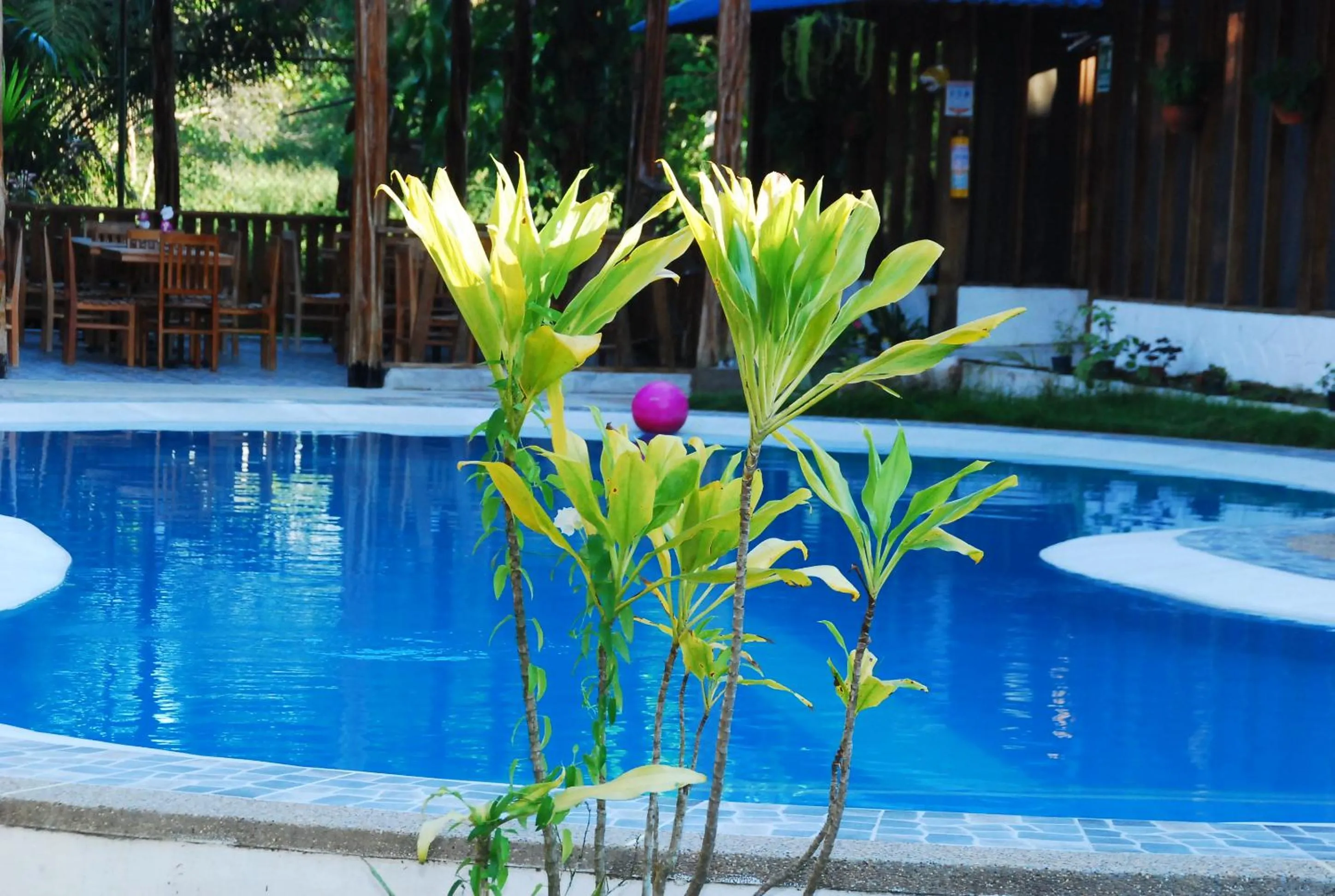 Swimming pool in Hotel Utüane
