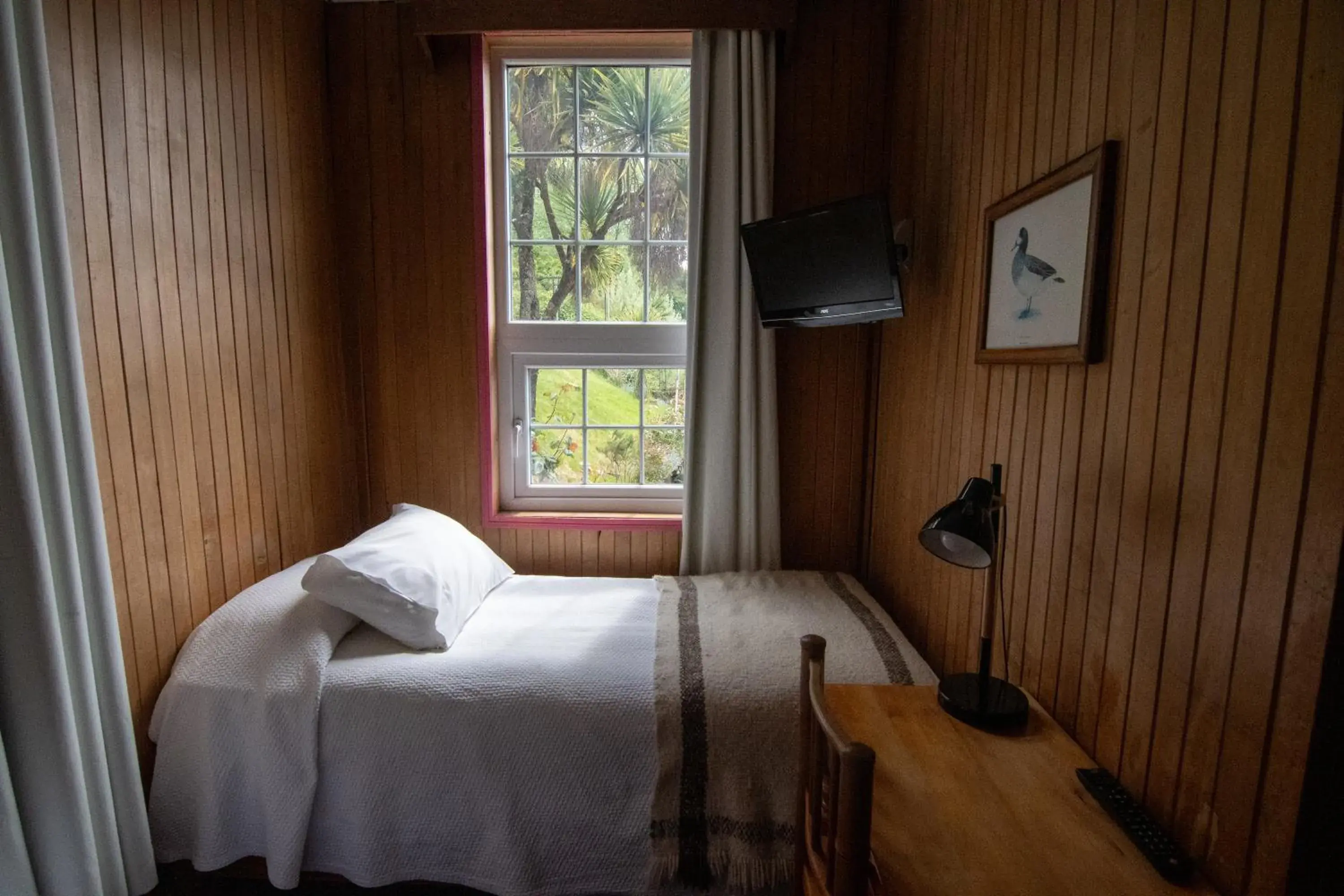 Twin Room - single occupancy in Hotel Unicornio Azul Twin Room - single occupancy in Hotel Unicornio Azul
