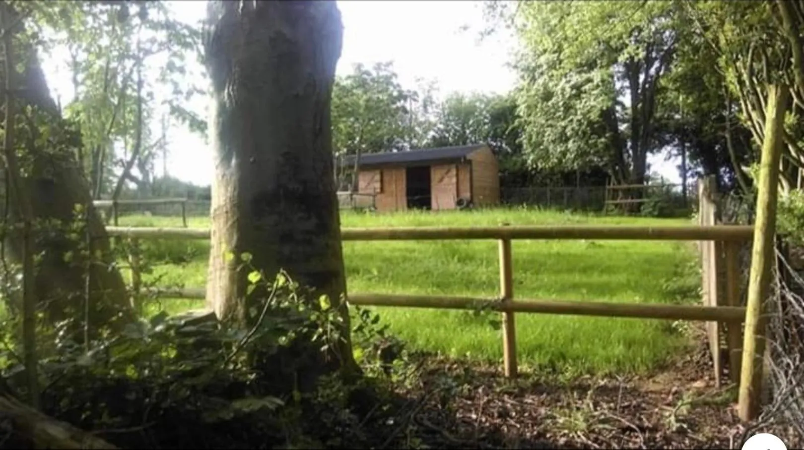 Property building in Meerkat Manor