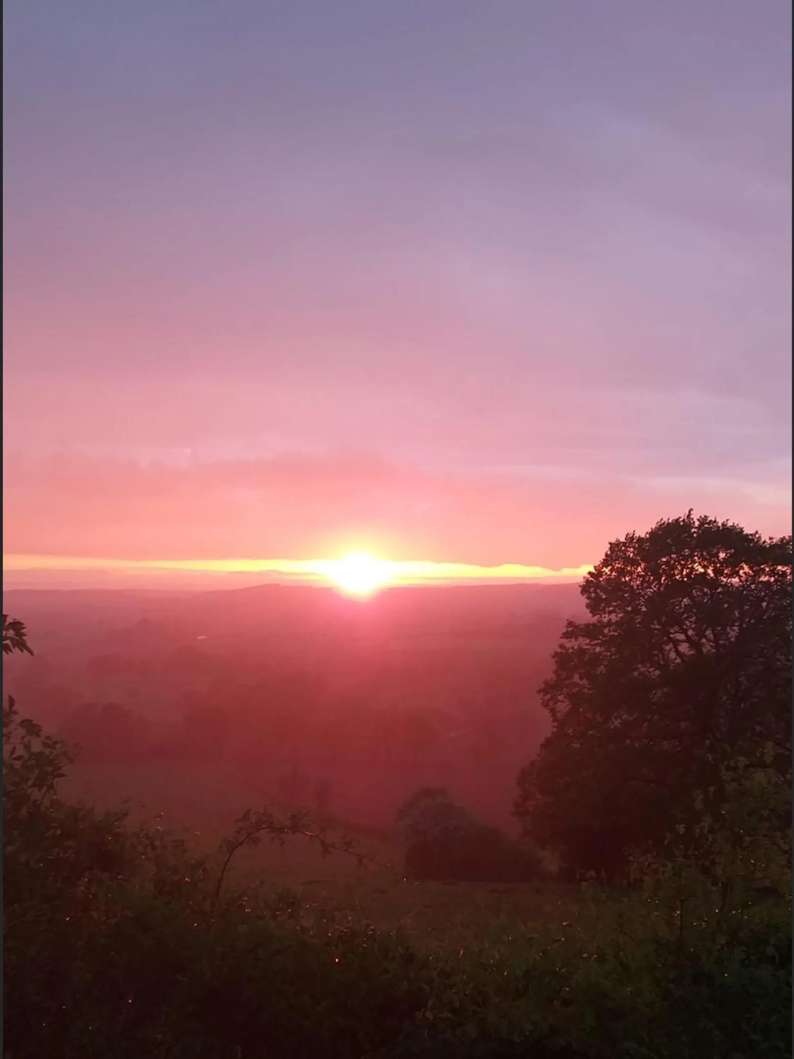 Sunset in Meerkat Manor