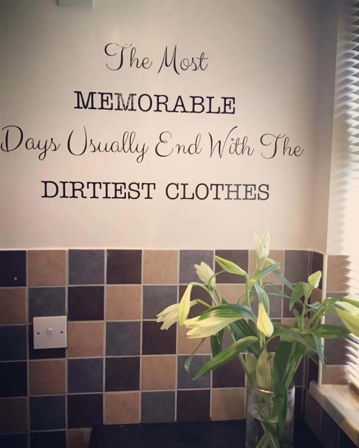 Logo/Certificate/Sign in Meerkat Manor