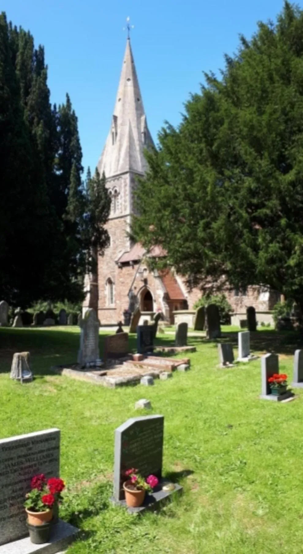 Nearby landmark in Meerkat Manor