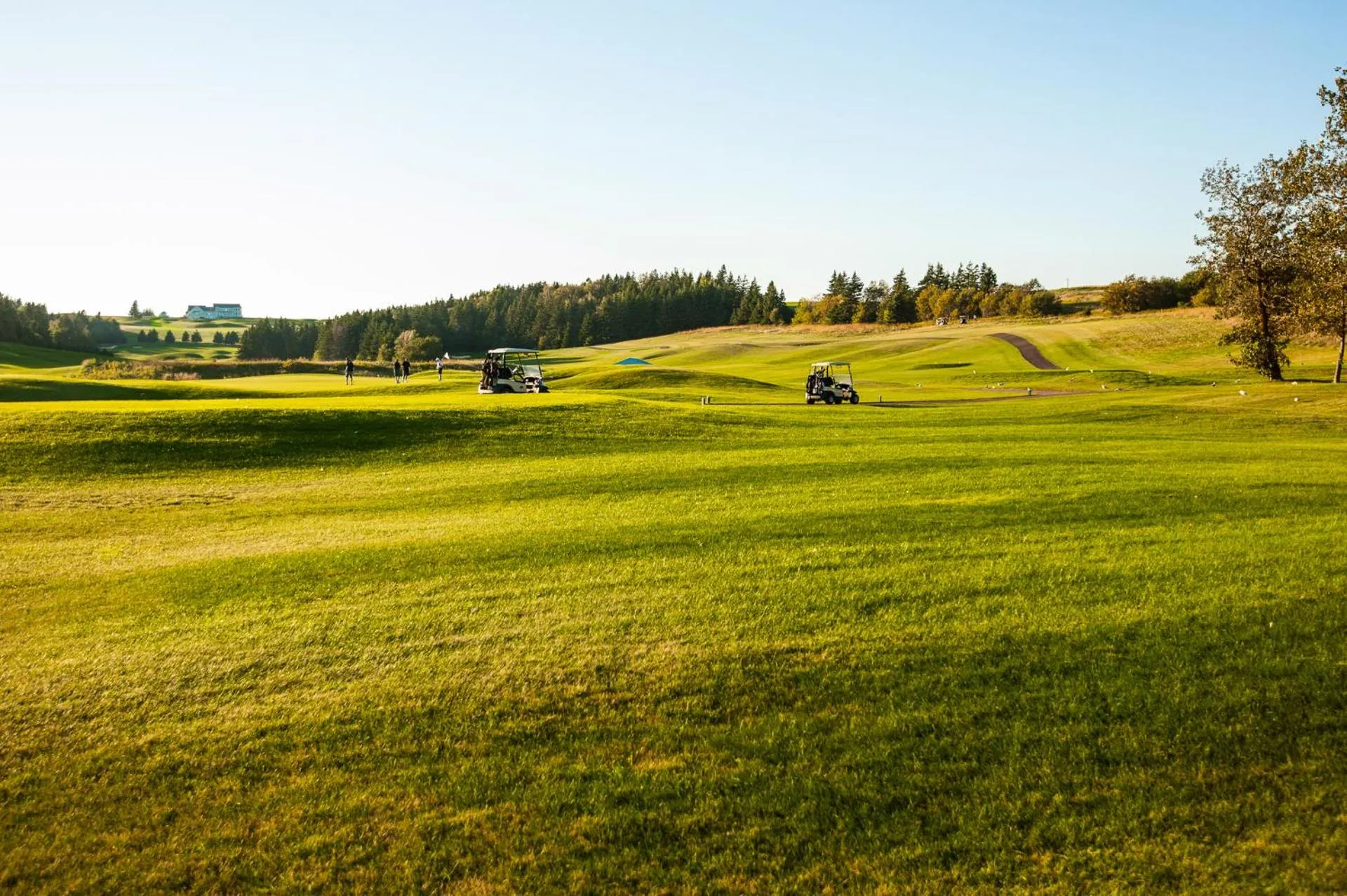 Golfcourse in Cavendish Lodge & Cottages