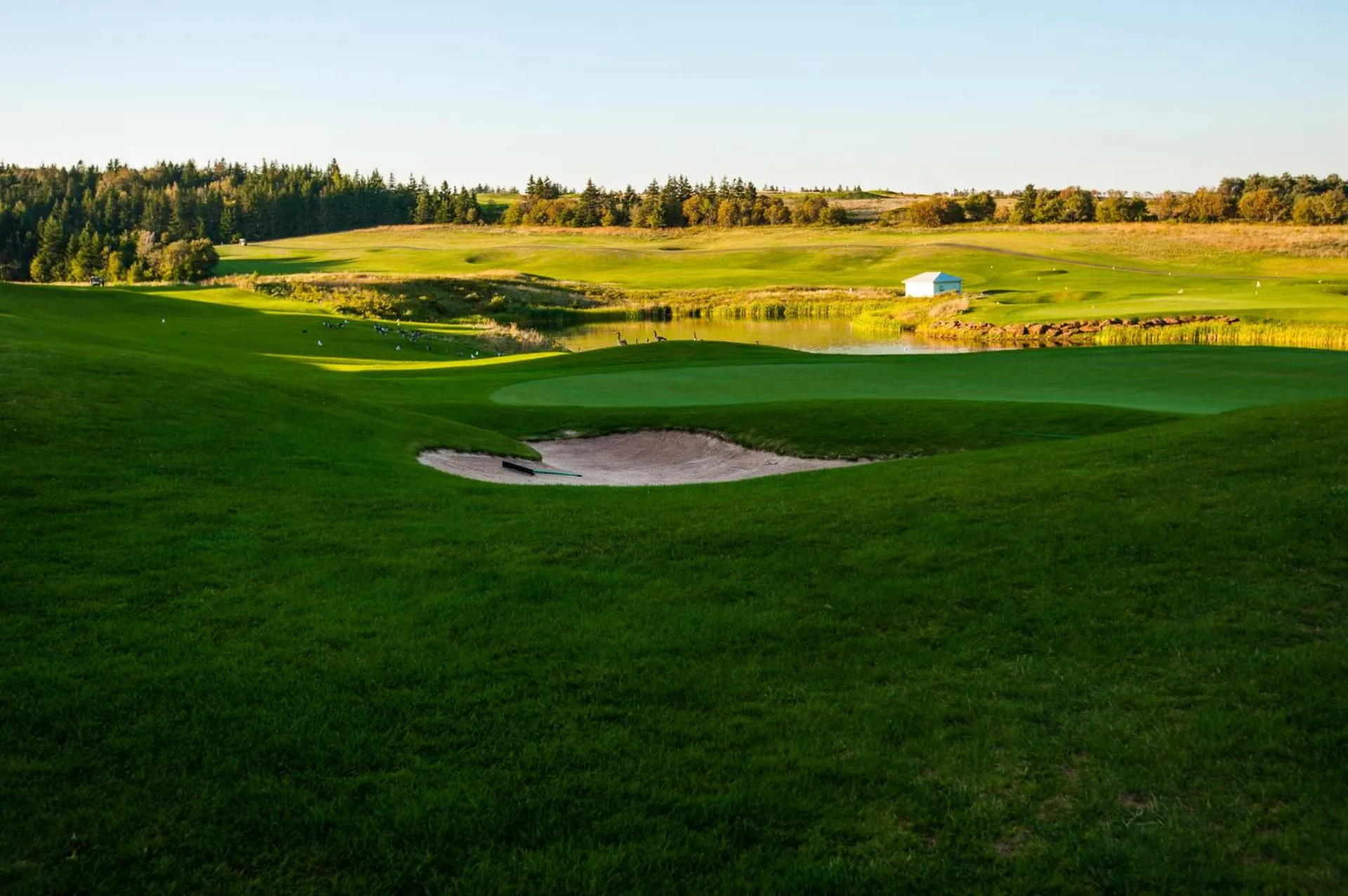 Golfcourse in Cavendish Lodge & Cottages