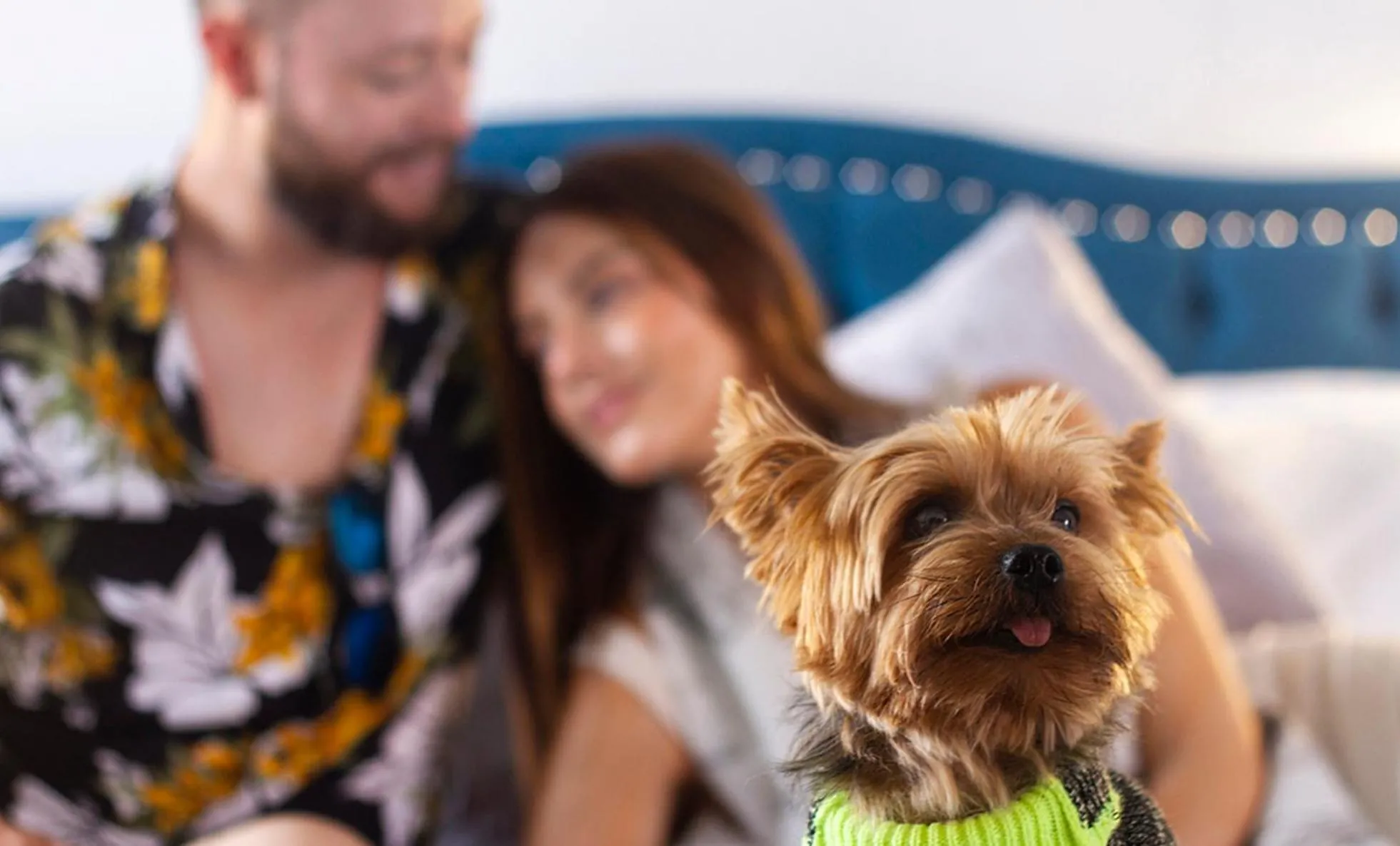 Pets in Hotel Bahía Olivo Boutique & Spa