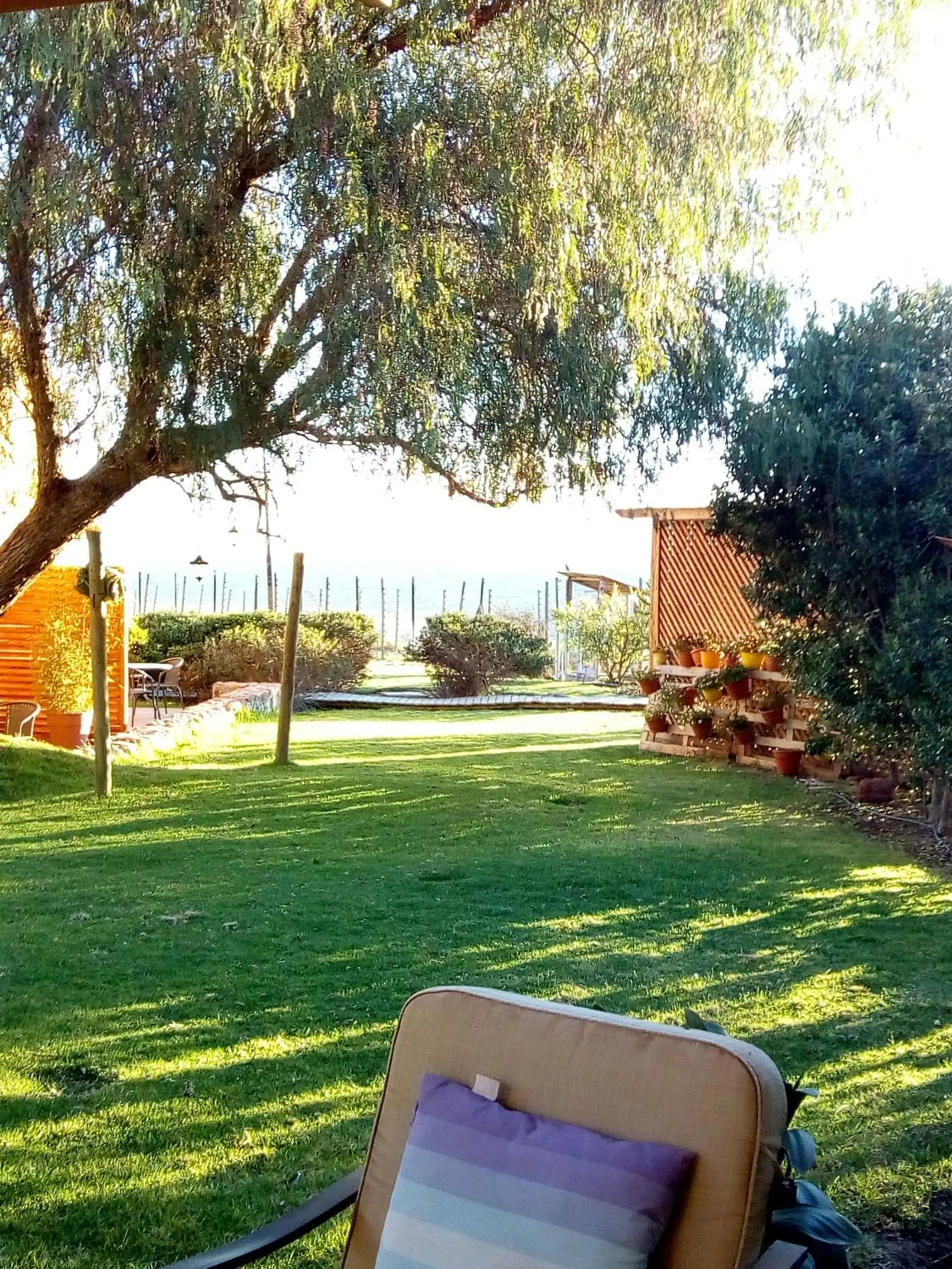 Garden in Hotel Altos de Tuqui