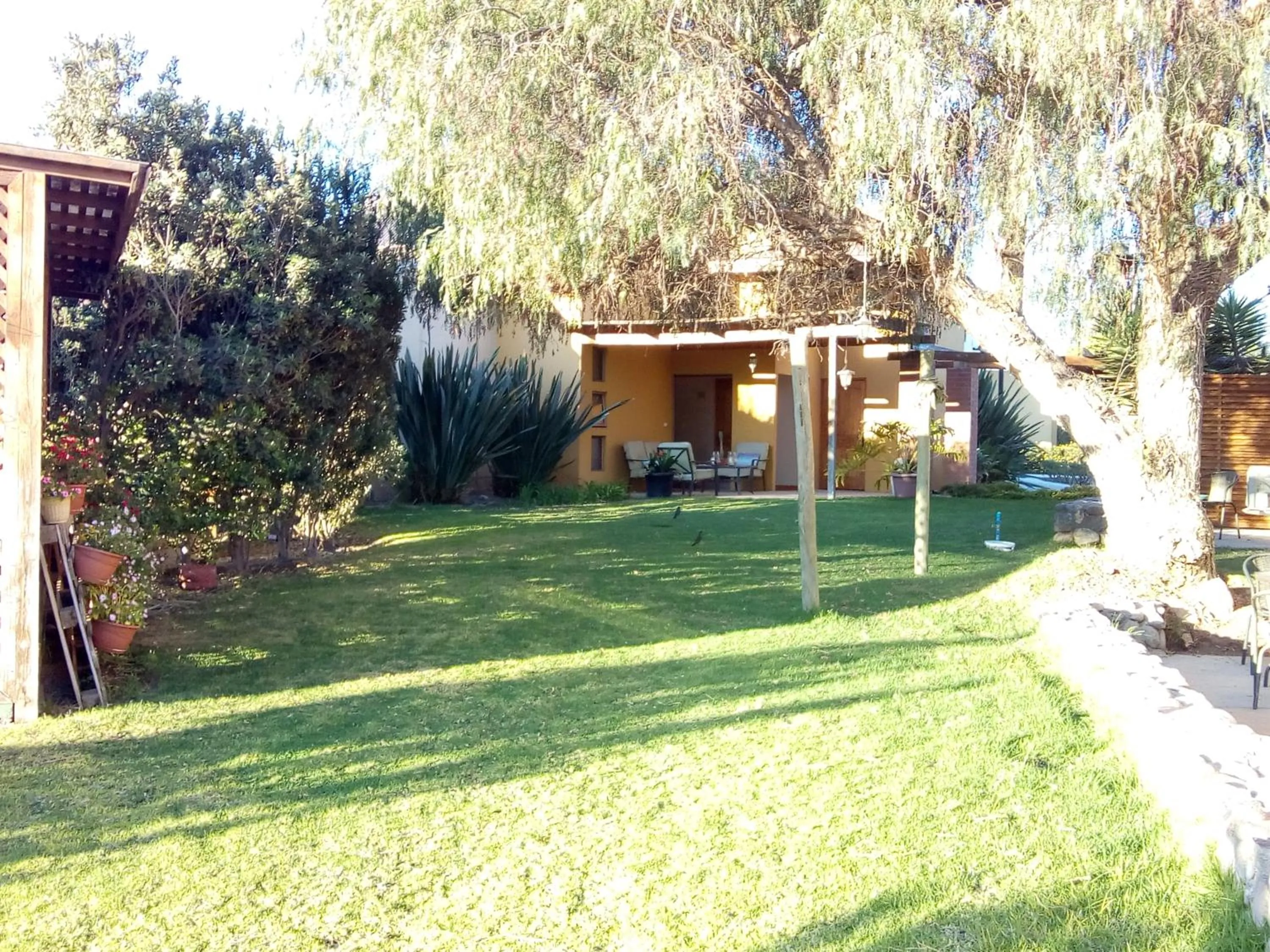 Garden in Hotel Altos de Tuqui