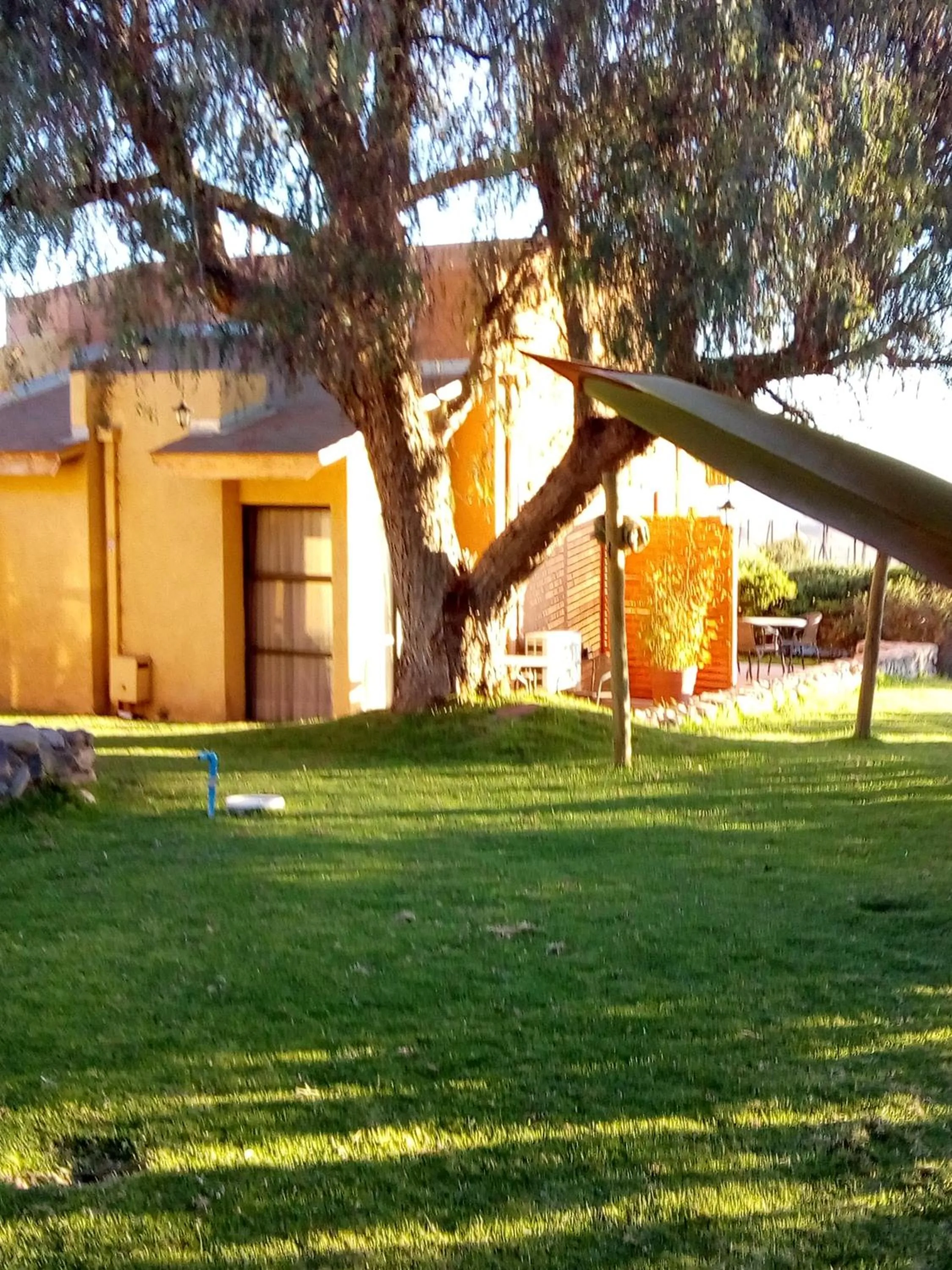 Garden in Hotel Altos de Tuqui